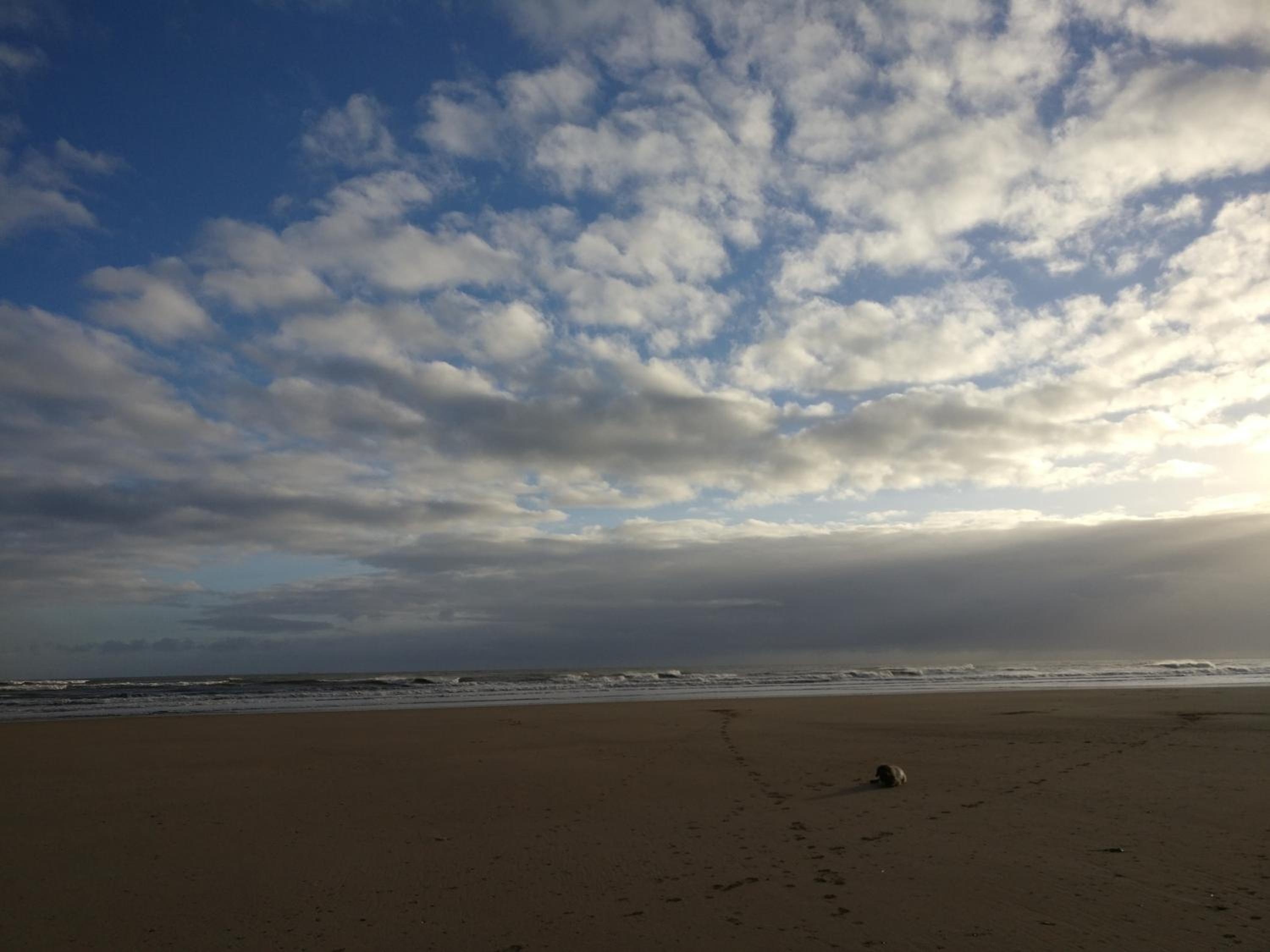 Photo 49