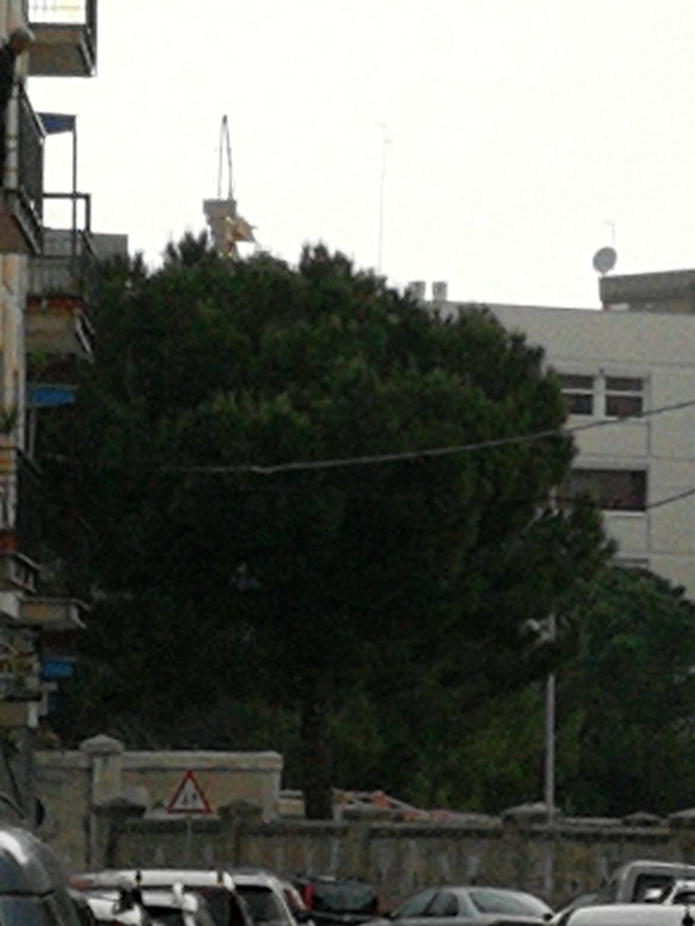 Photo 20
