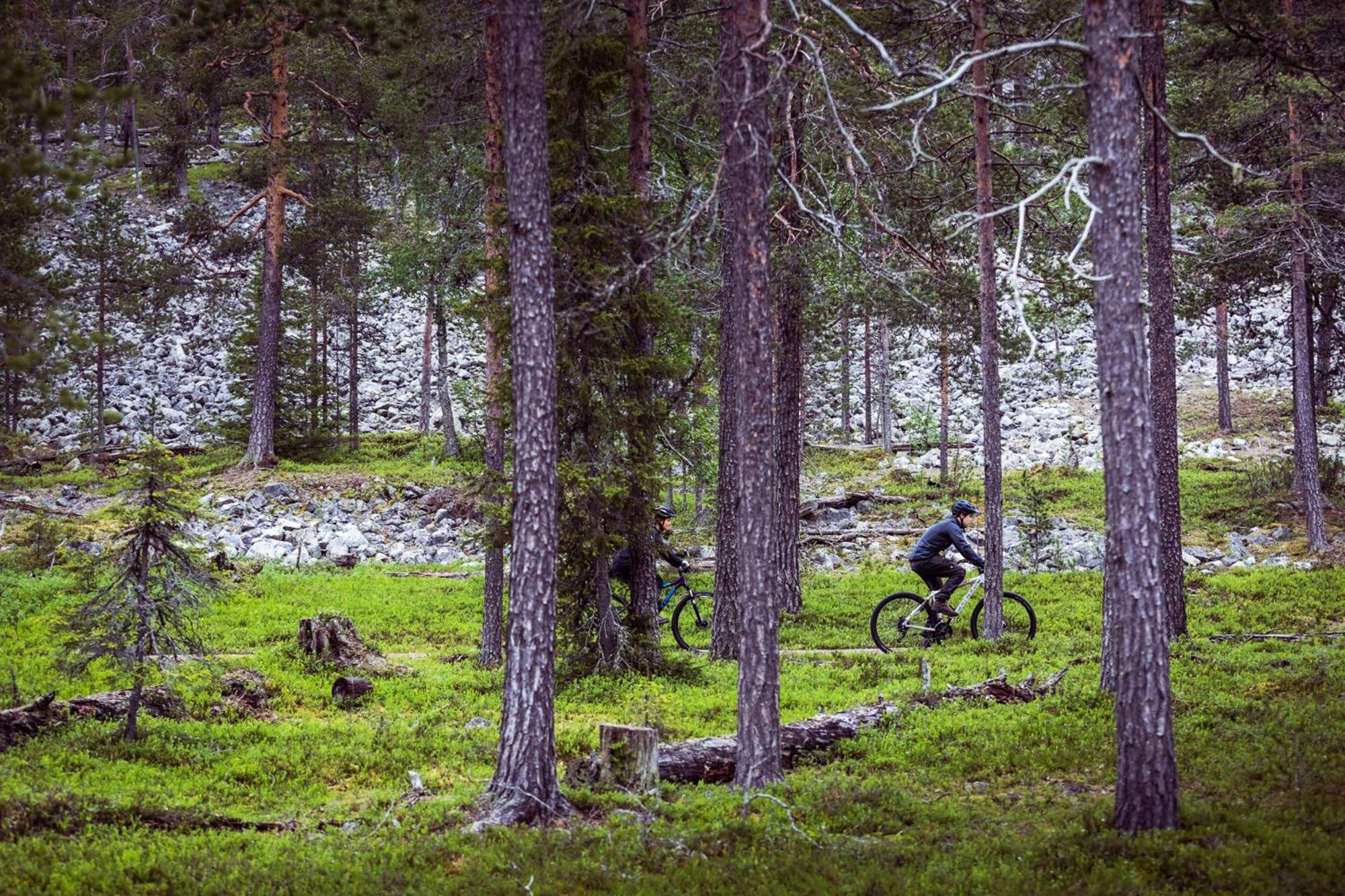 Pyhä Igloos