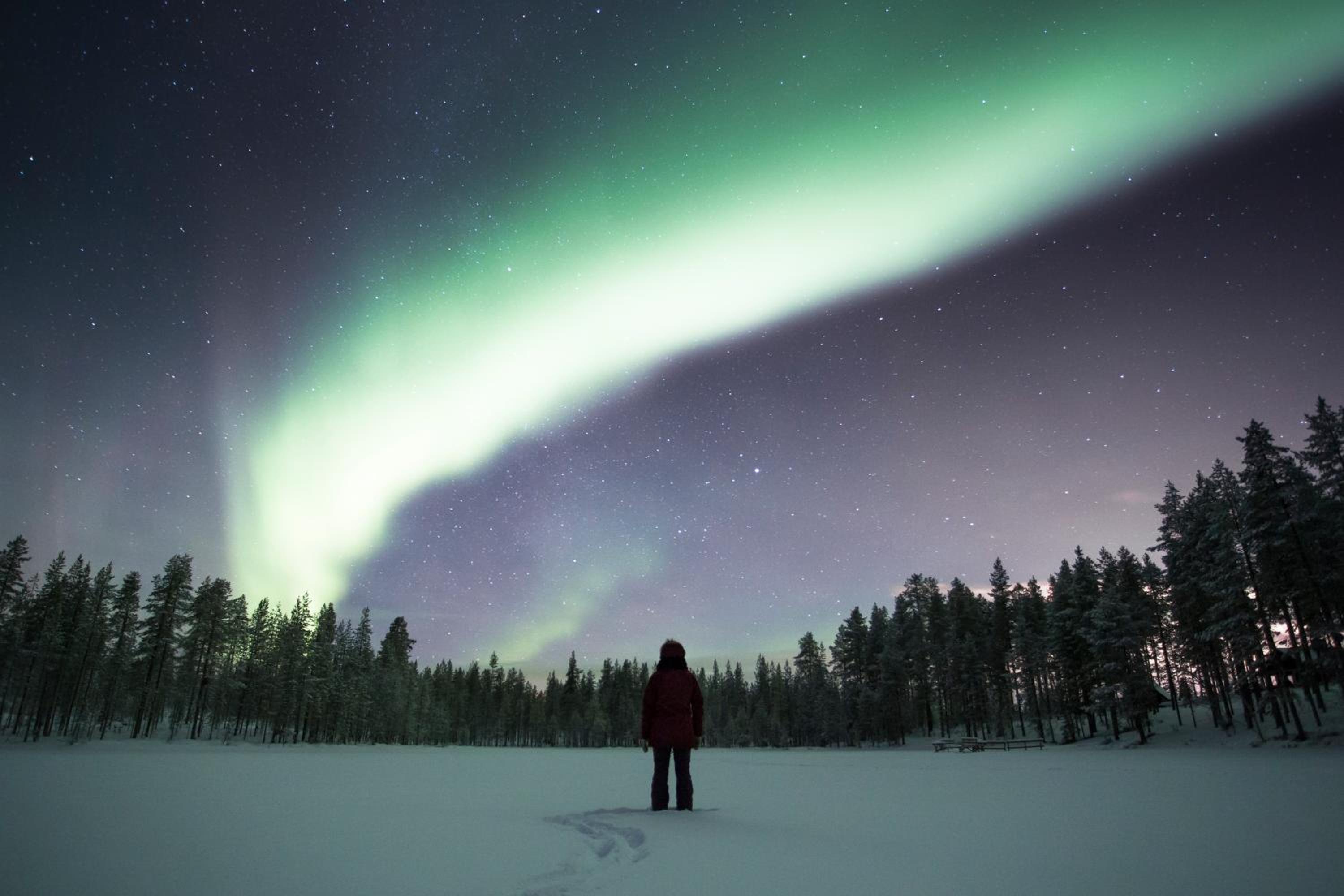 Pyhä Igloos