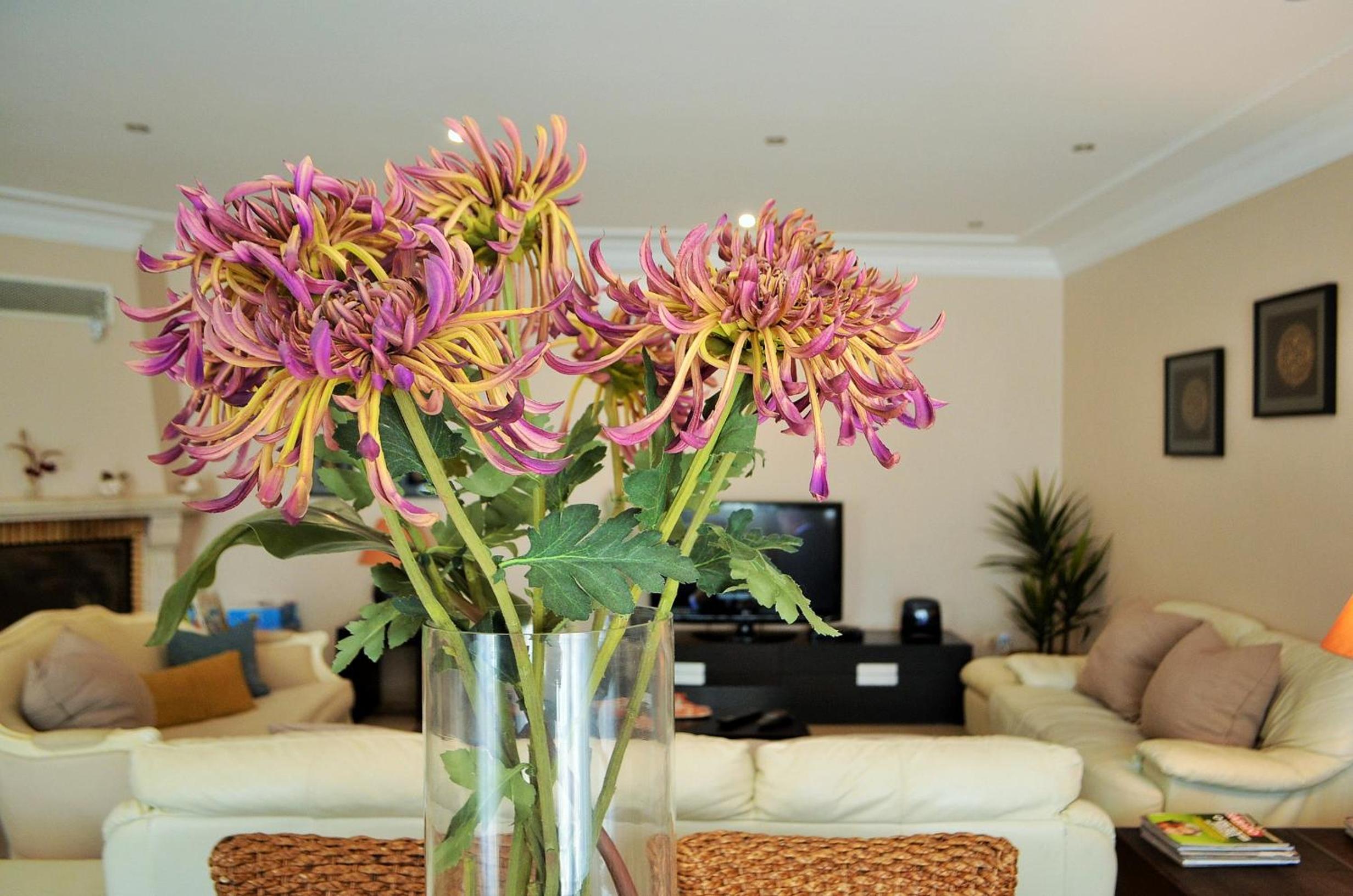 Suites & Beds DP Albufeira