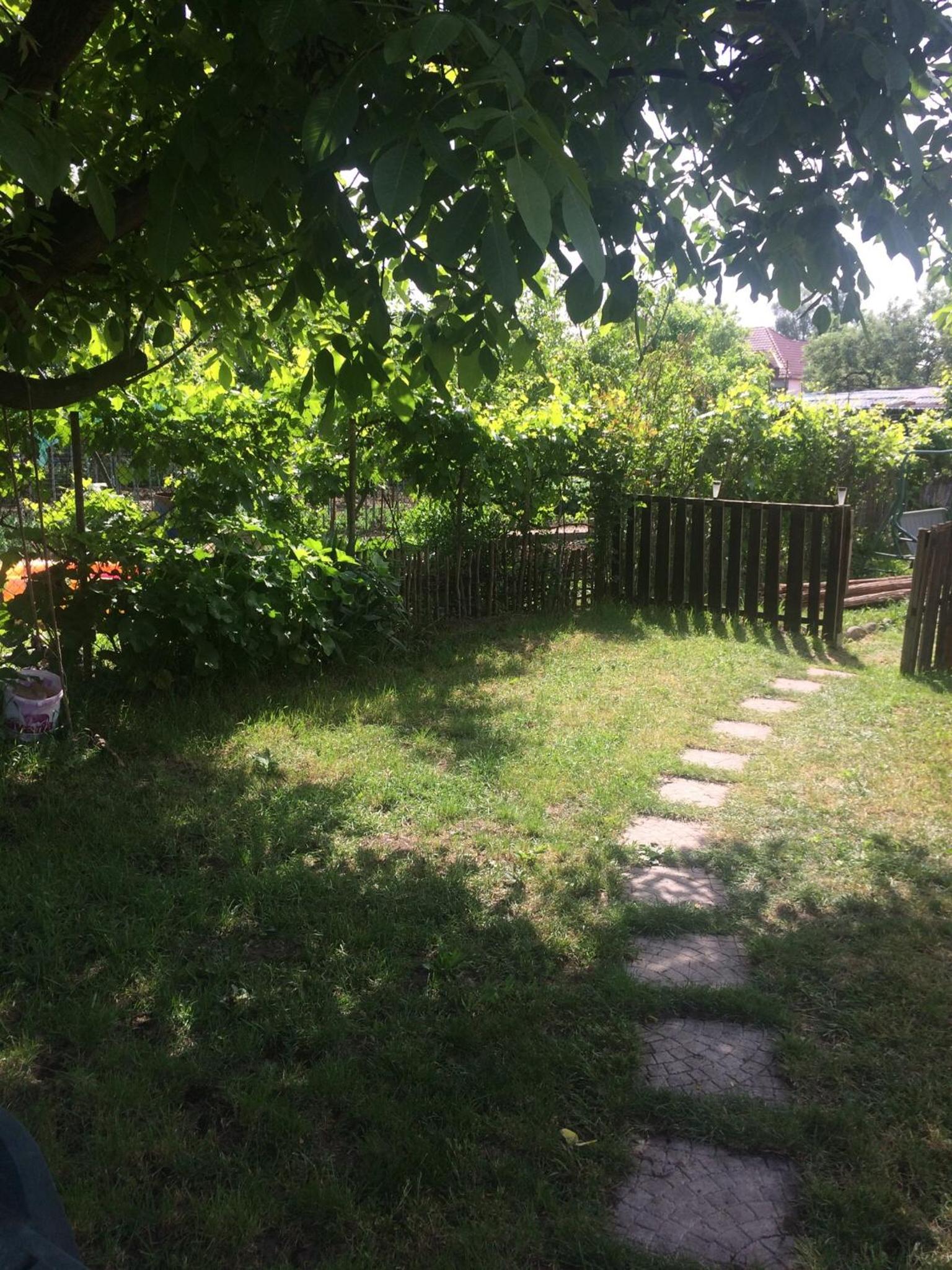 Photo 52