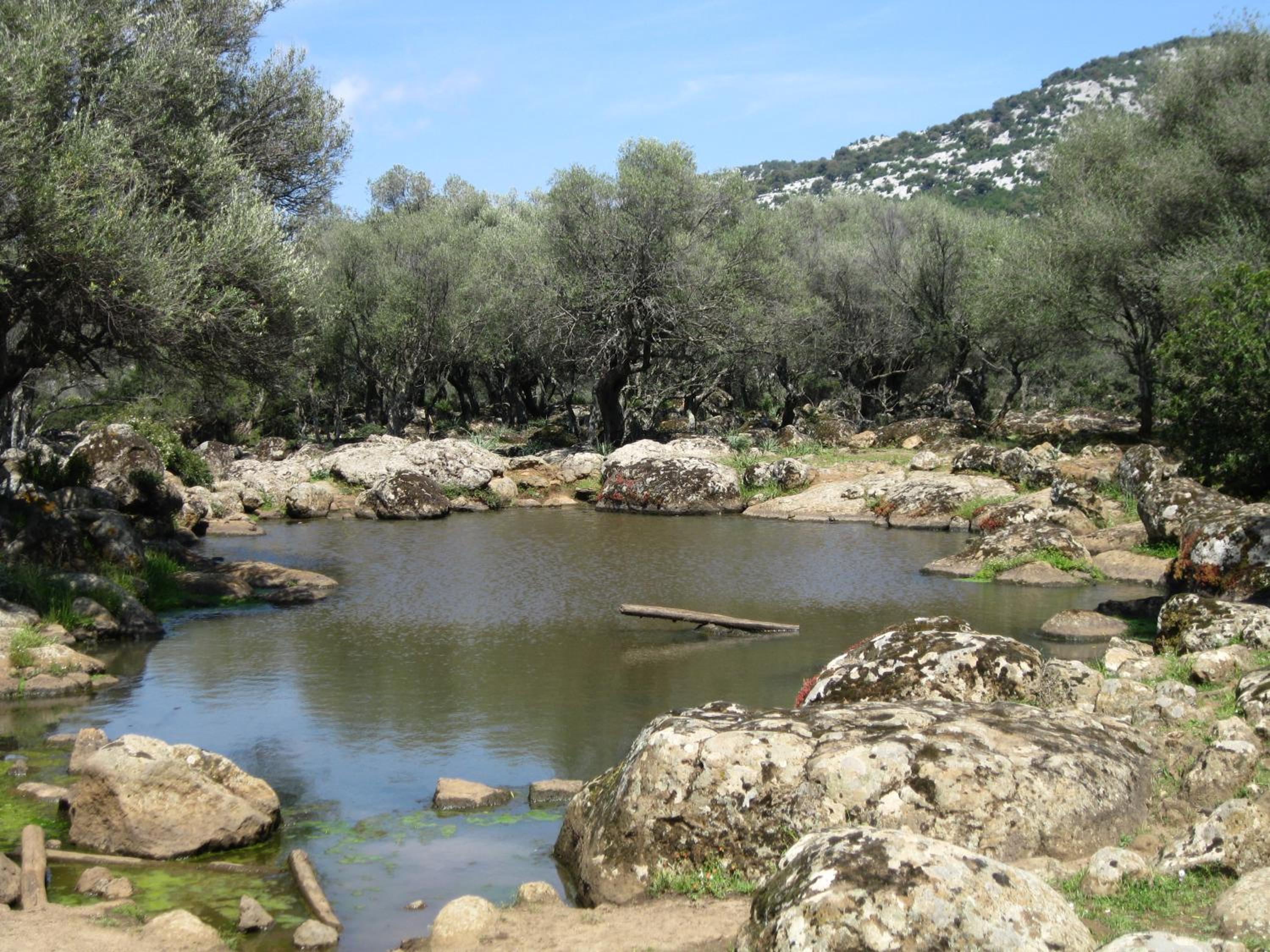 Photo 40