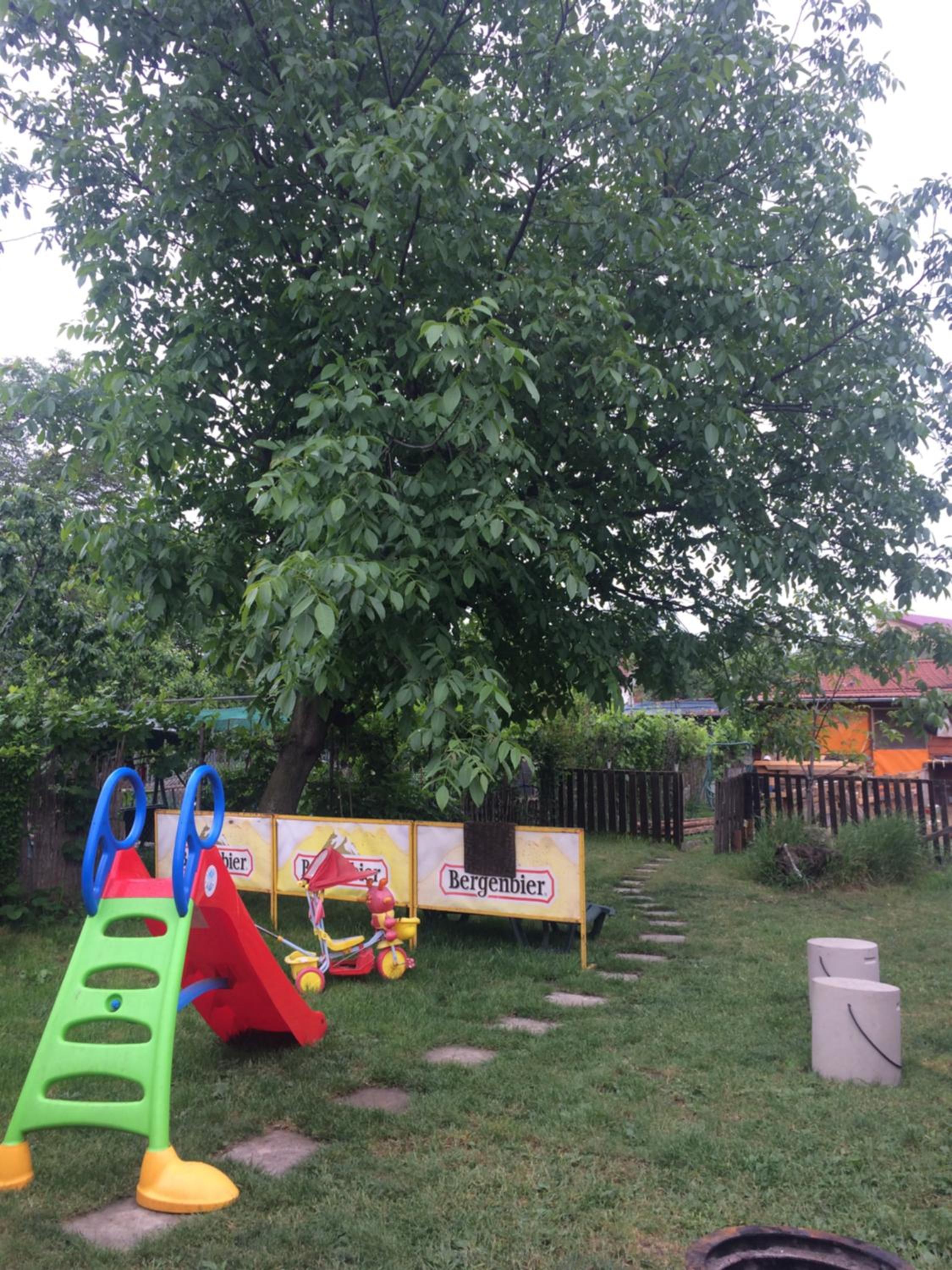 Photo 48