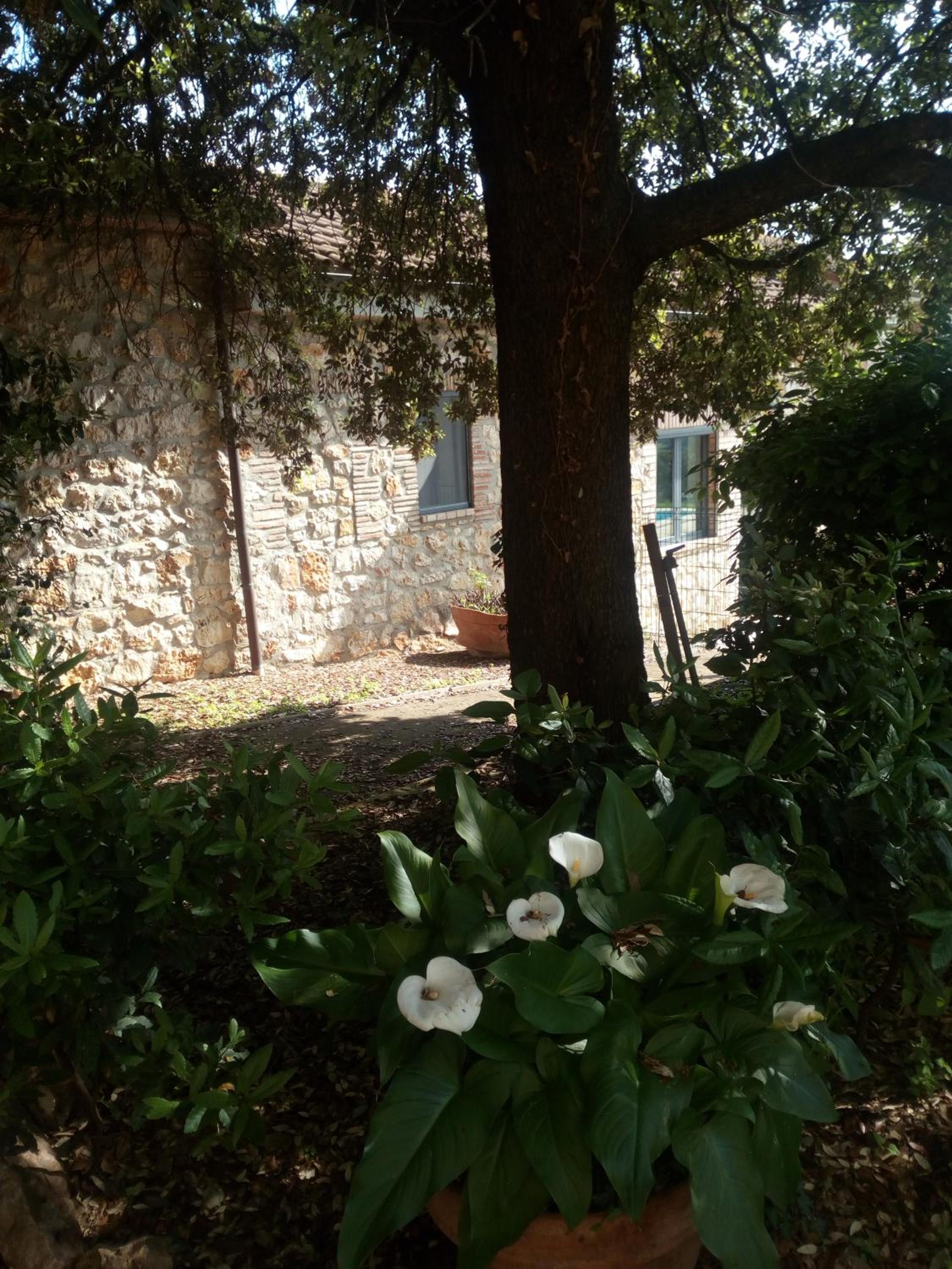 Photo 47