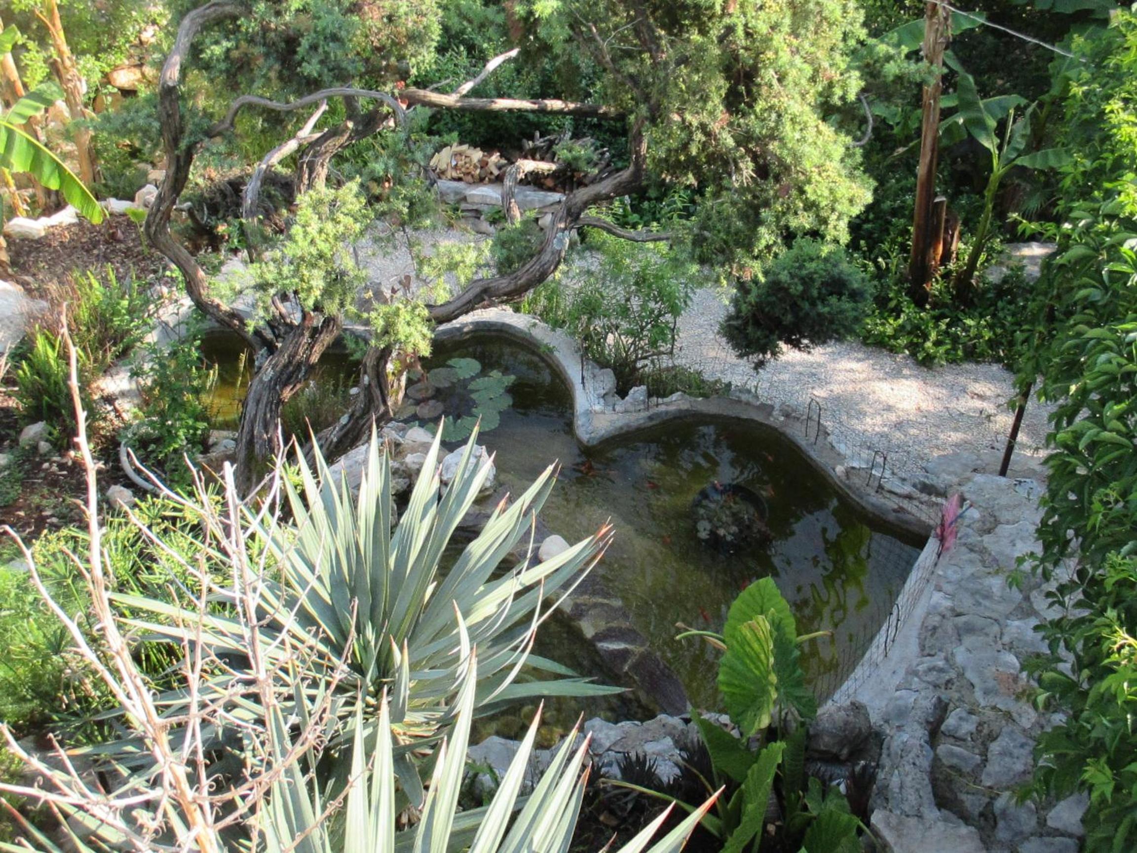 Photo 10