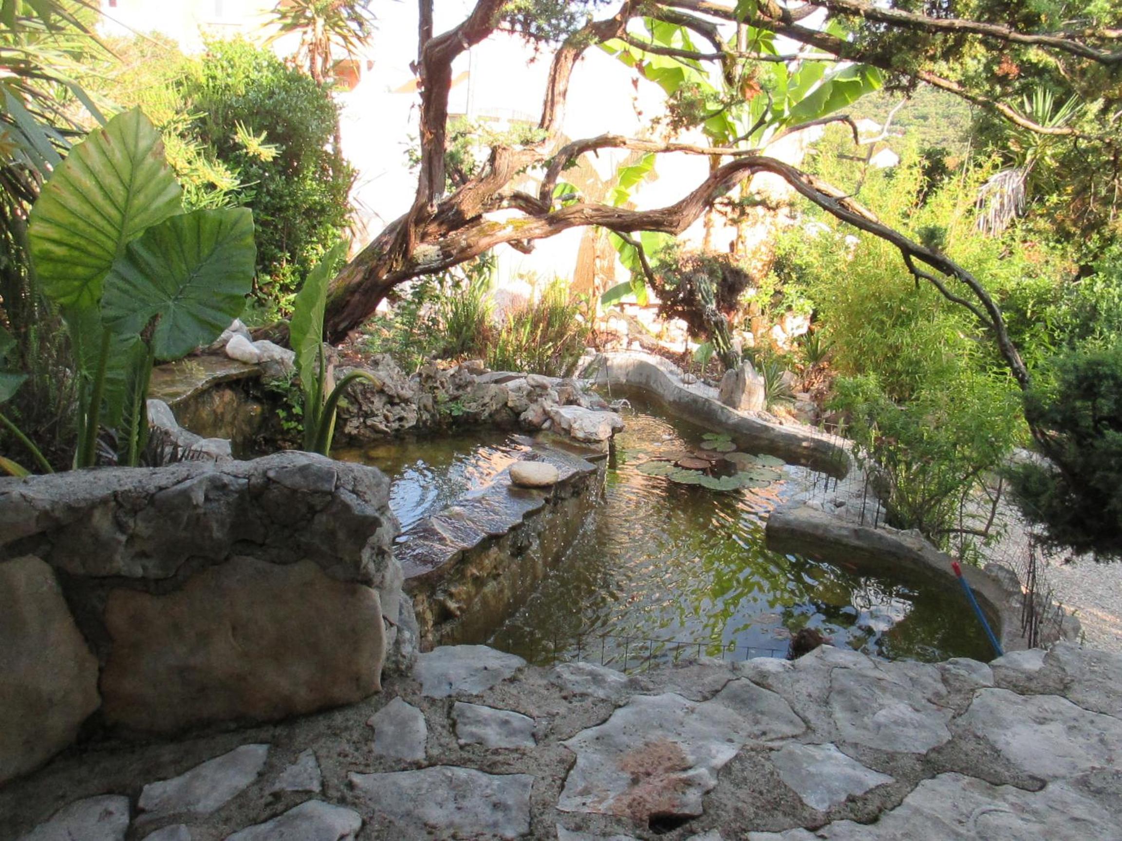 Photo 14