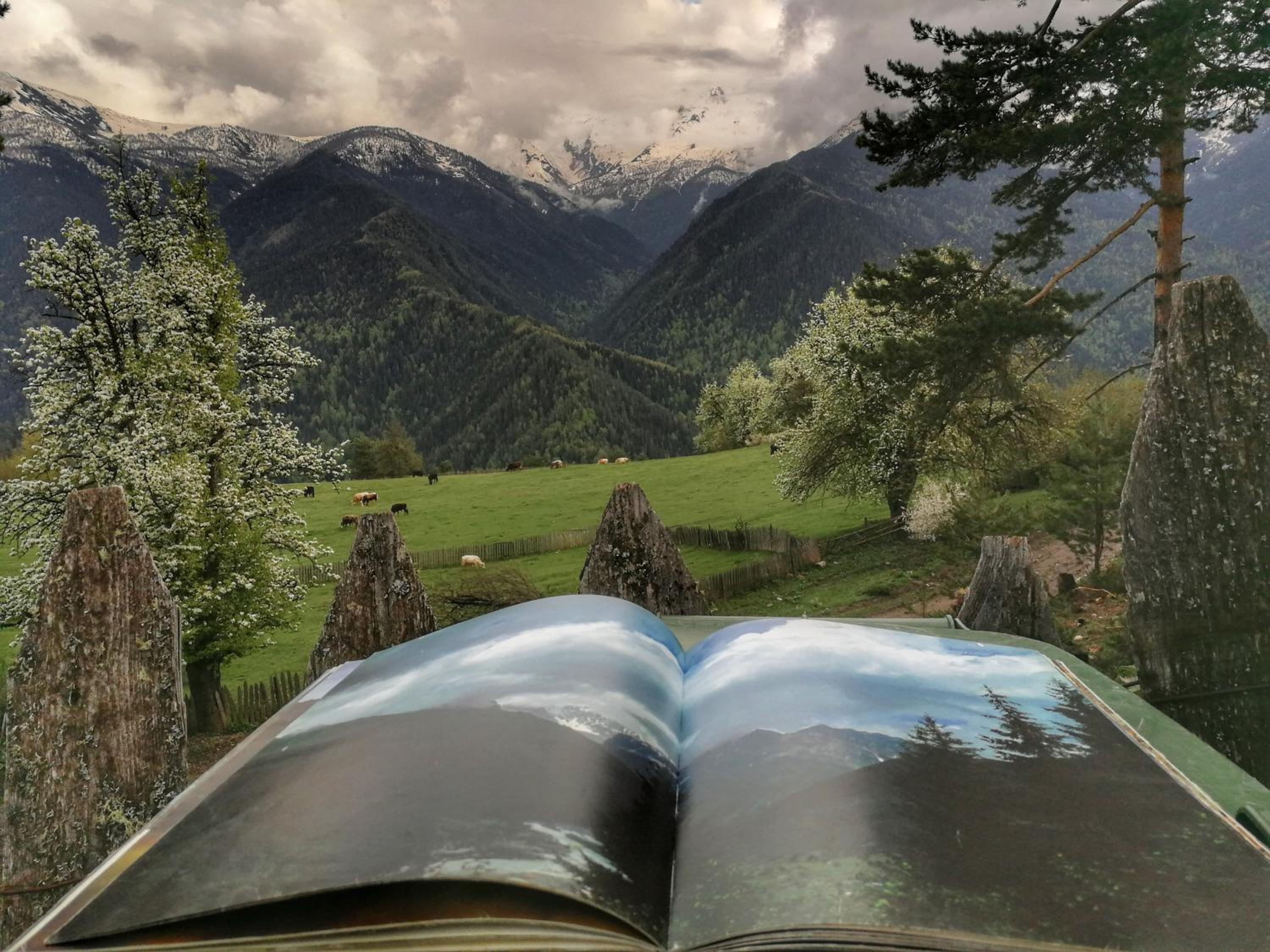 Heshkili huts and cabins Svaneti