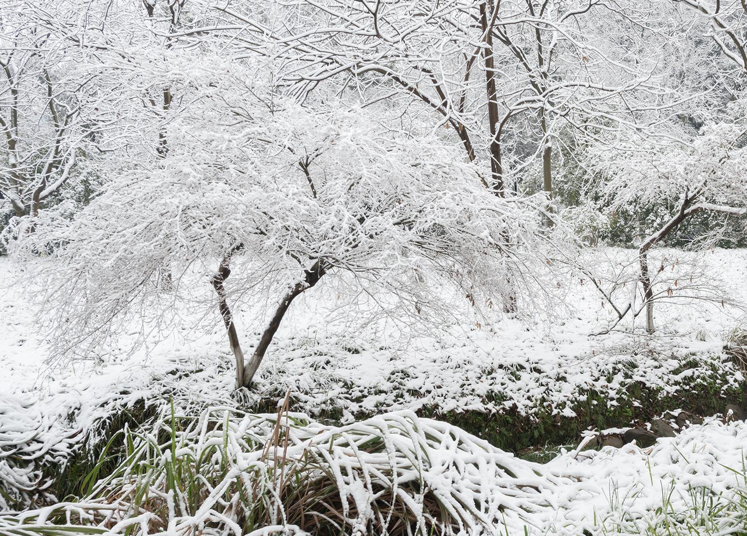 Hangzhou West Lake Yueshang Yunshe Boutique Homestay