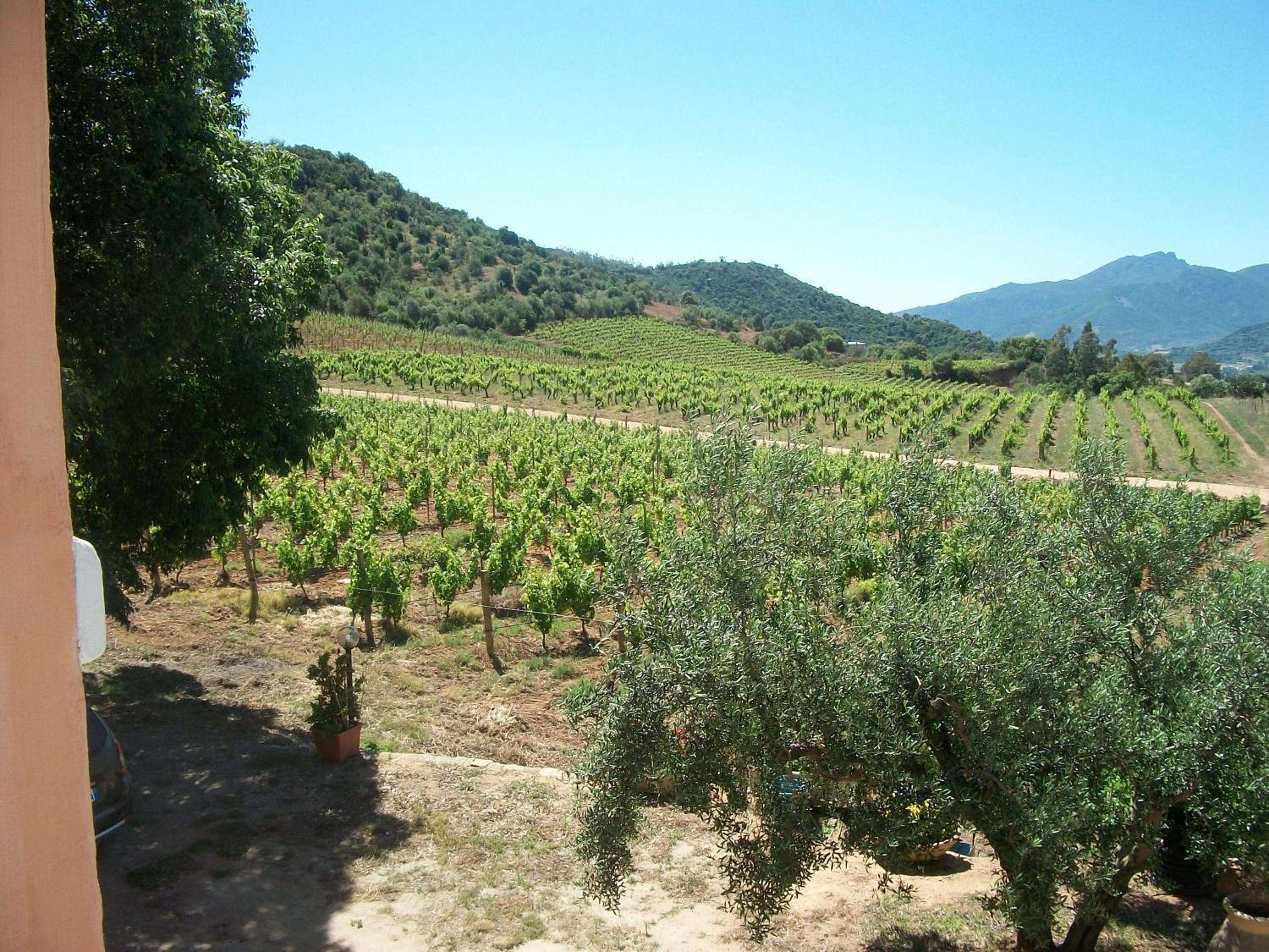 Monte Astili view 2
