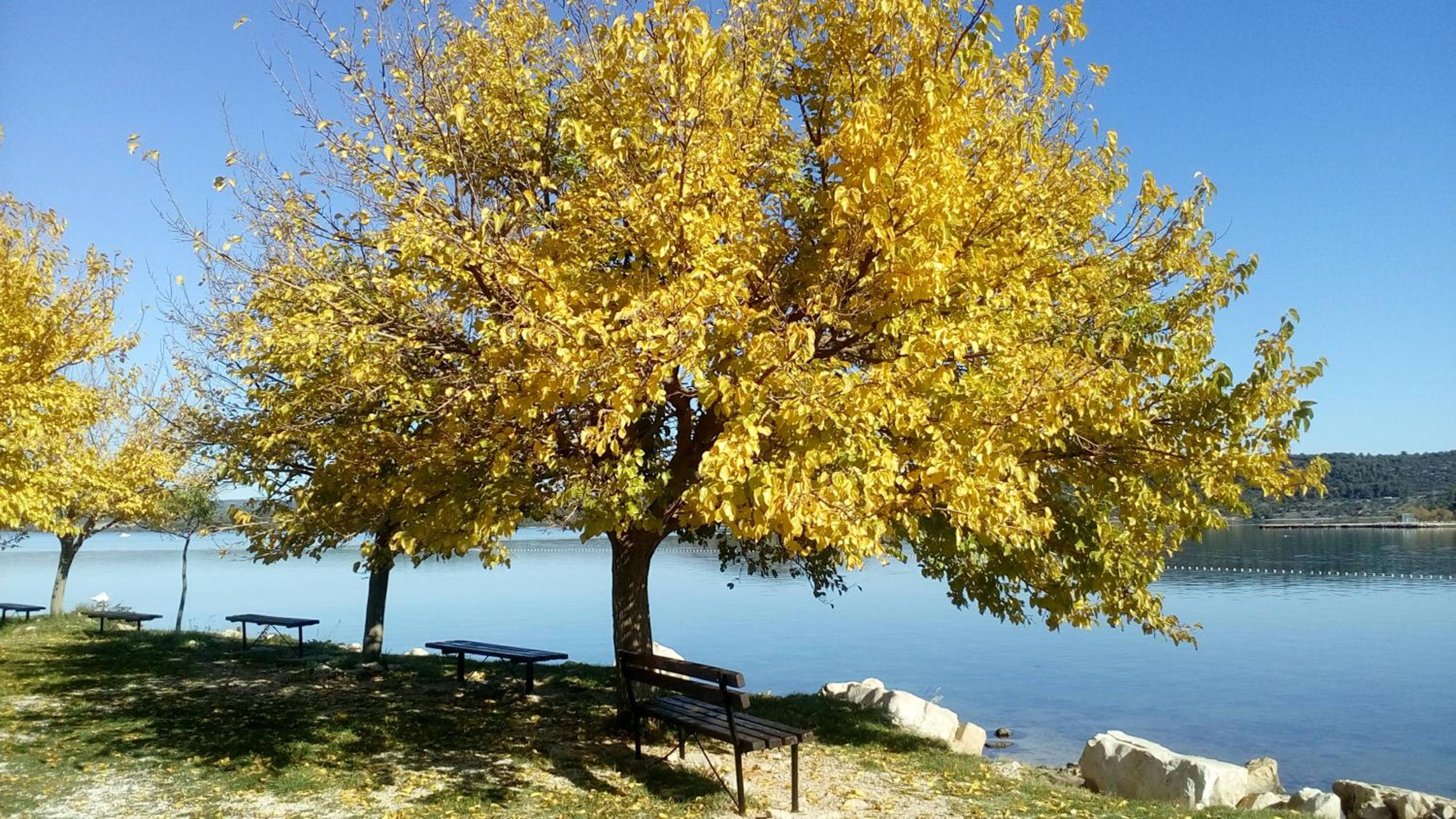 Photo 42