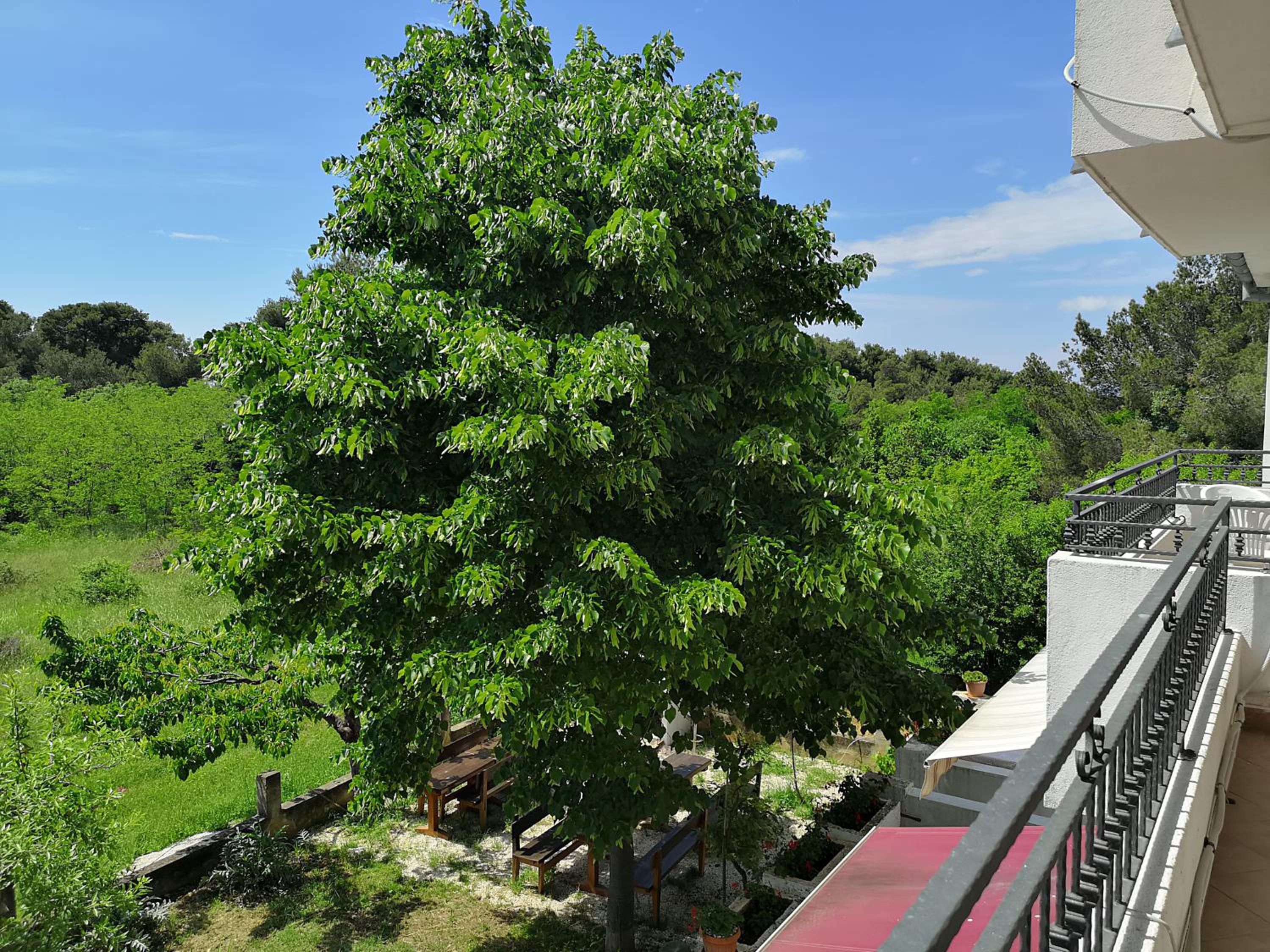 Rooms & Apartment Hegic with parking