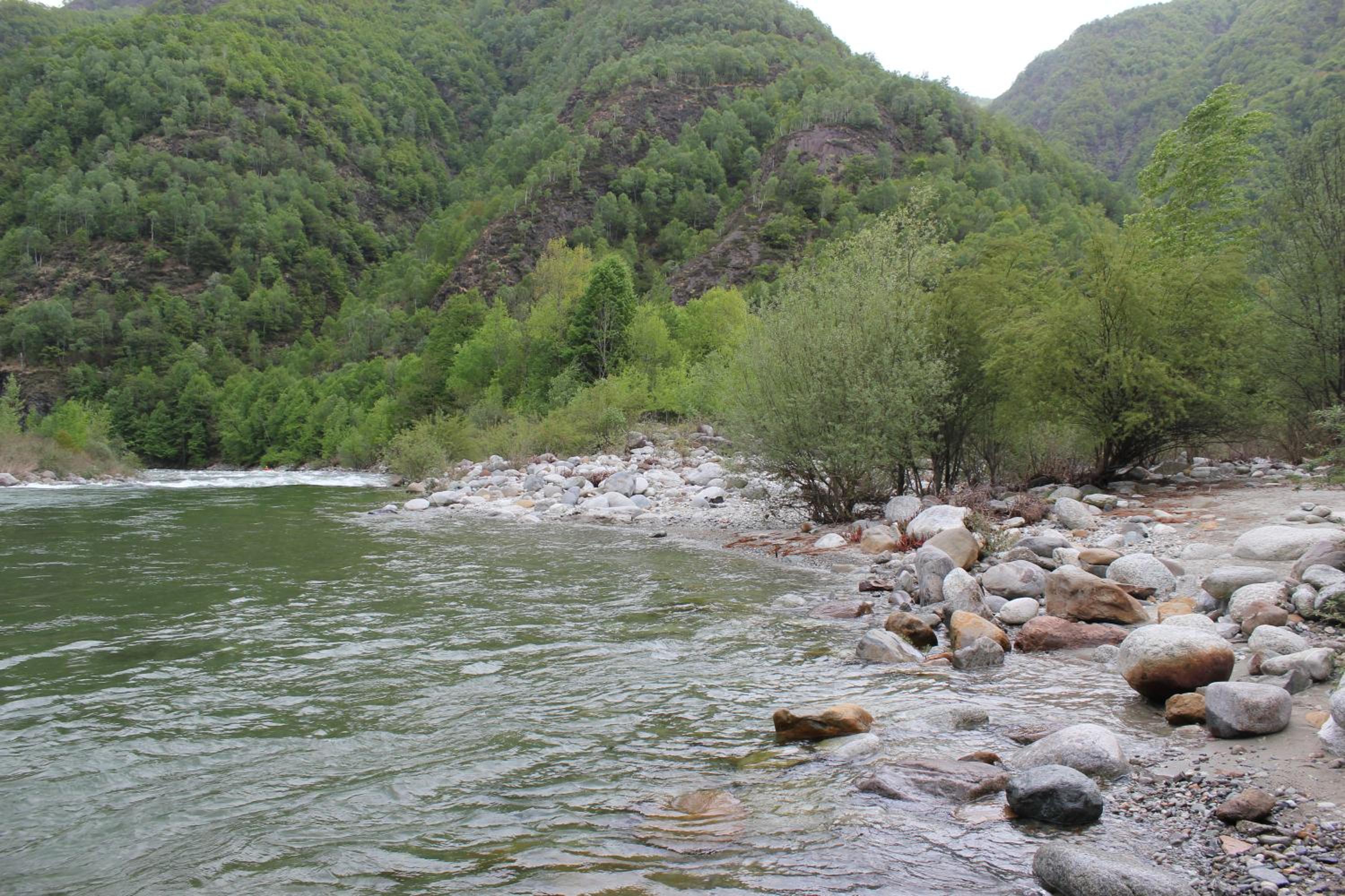 Photo 38
