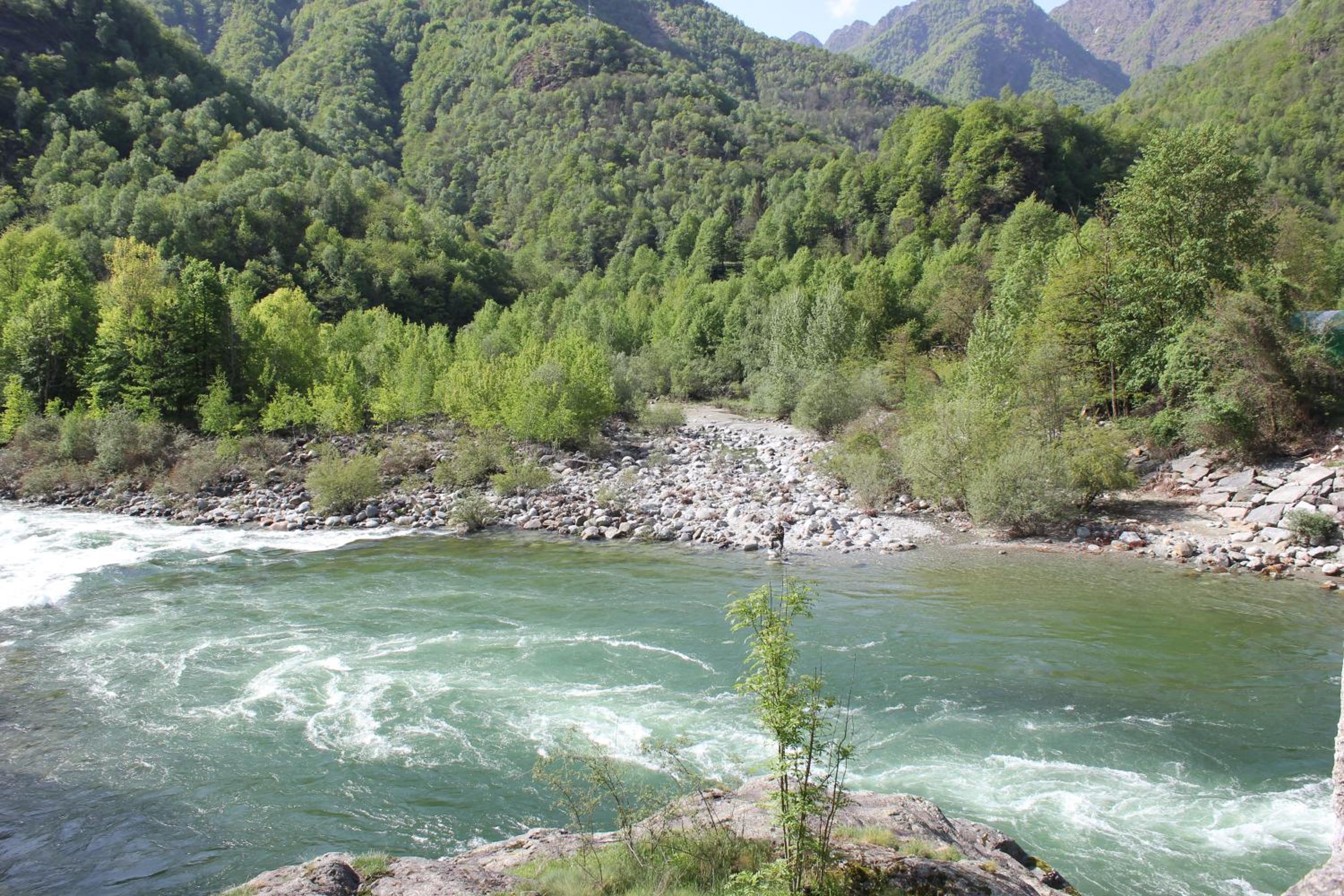 Photo 36