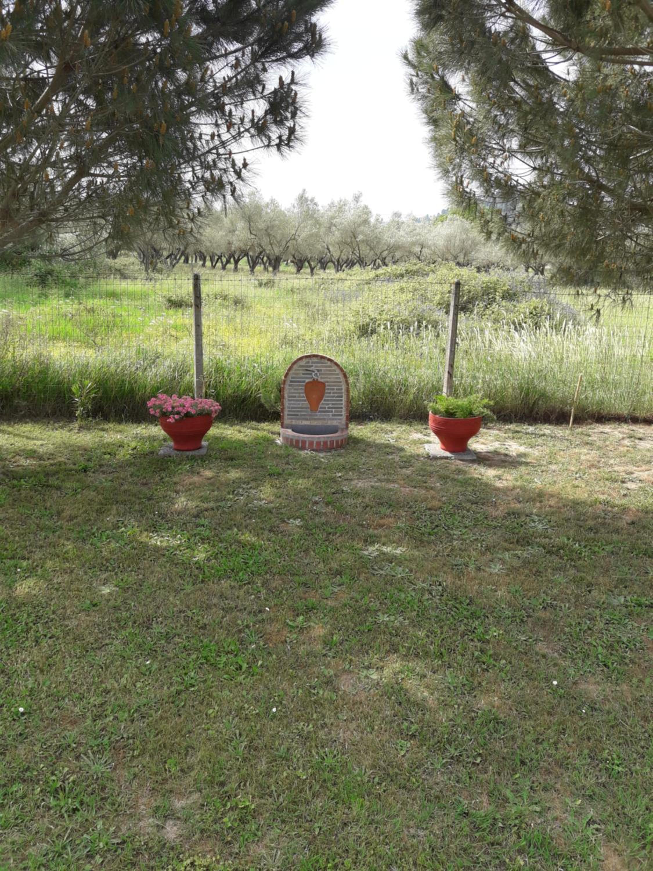 Photo 33