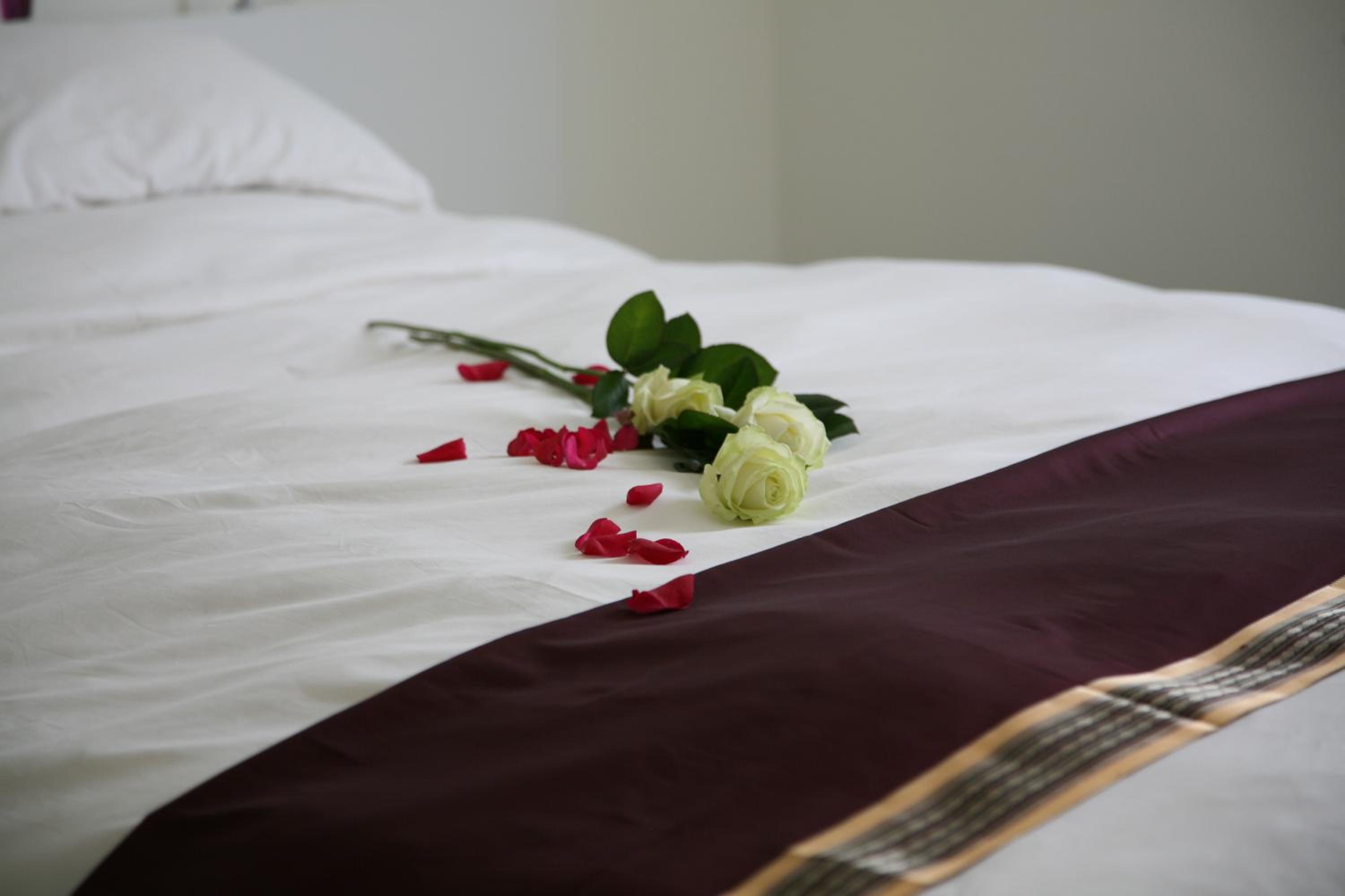 B&B Kanegem Onverbloemd