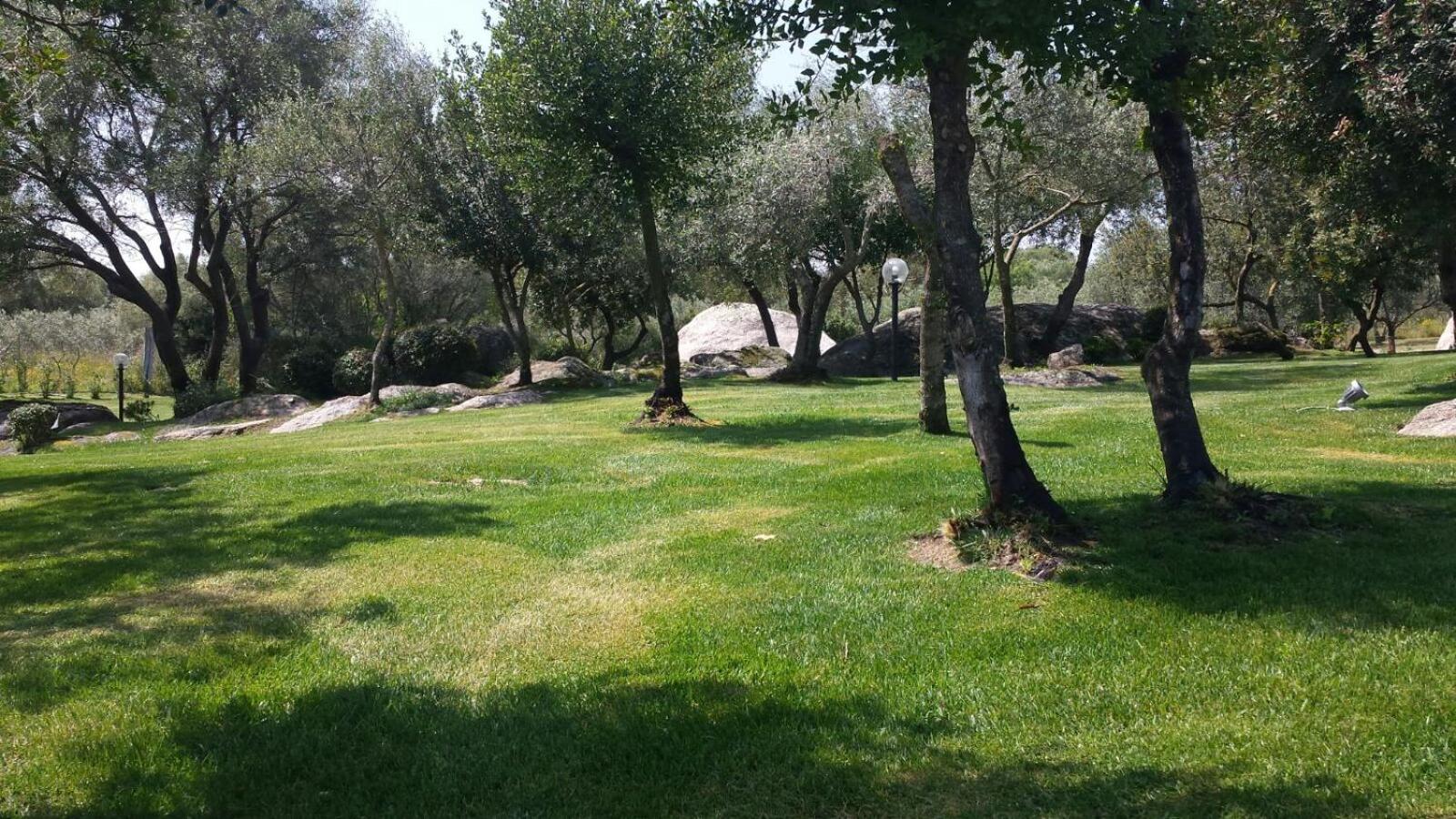 B&B Majore