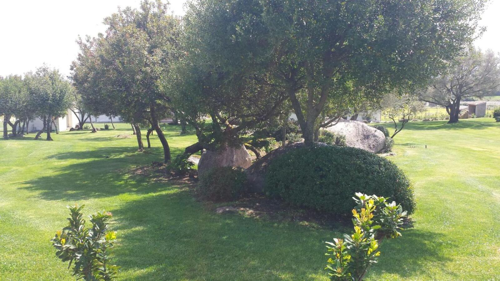 B&B Majore