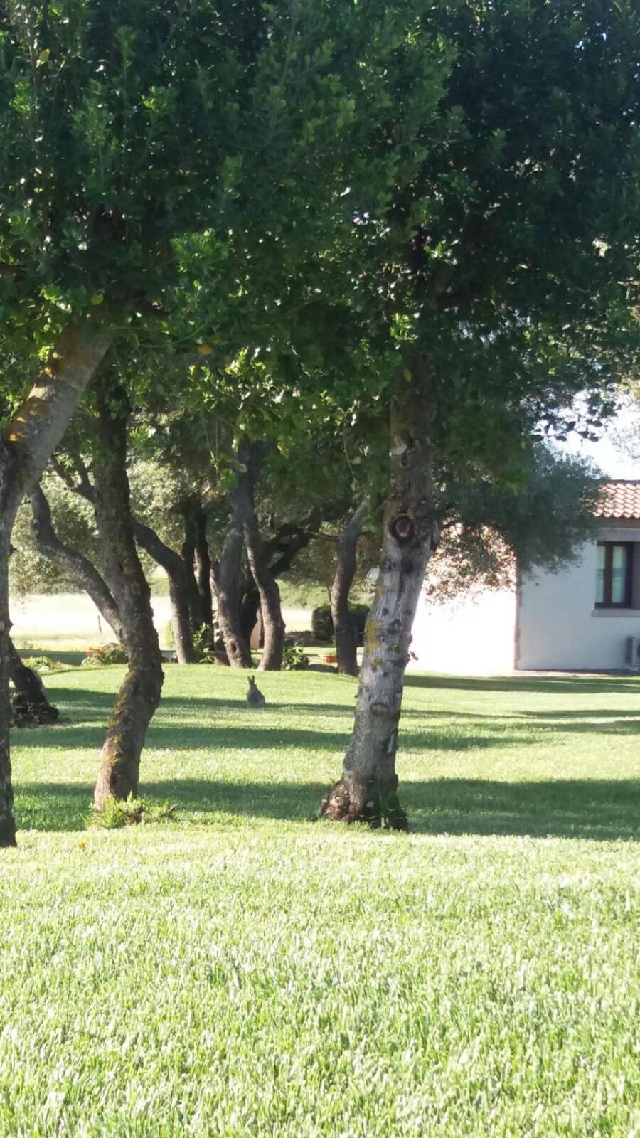 B&B Majore