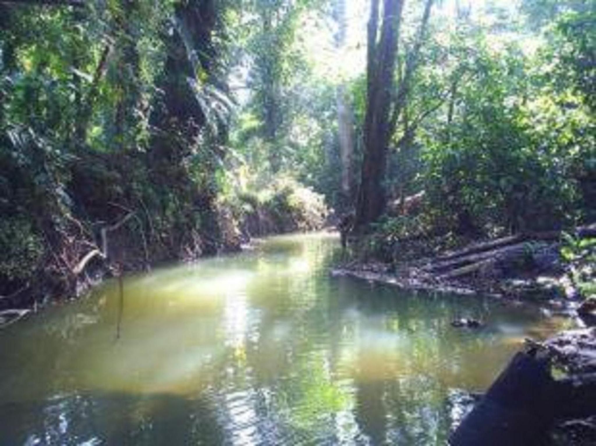 El Tucan Jungle Lodge