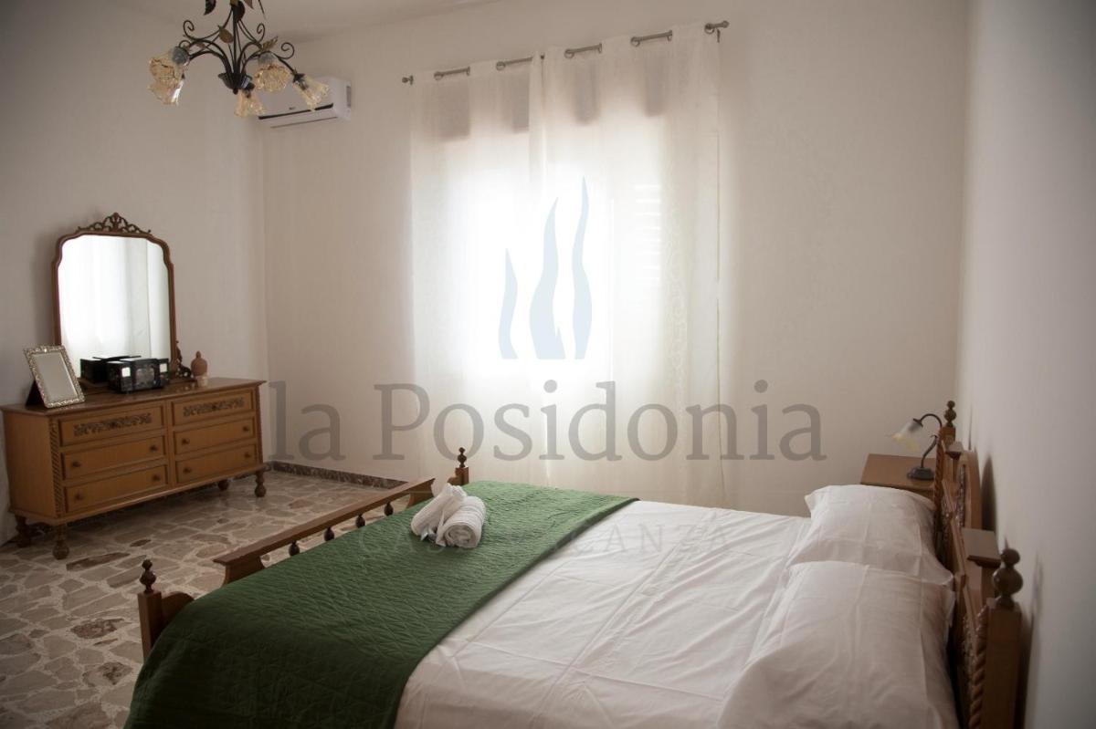 LaCassiopea view 4