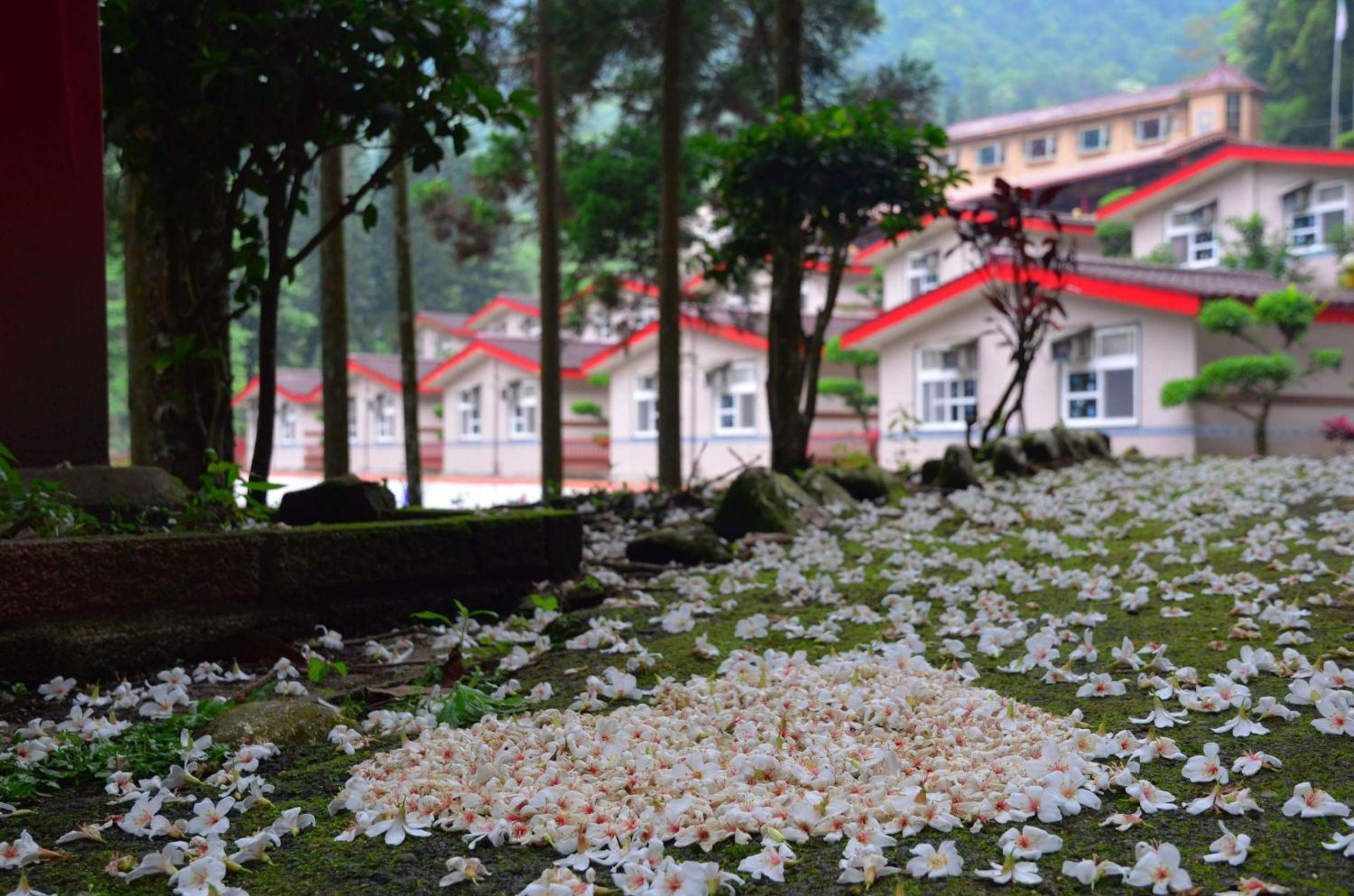 Chun Gu Farm view 4