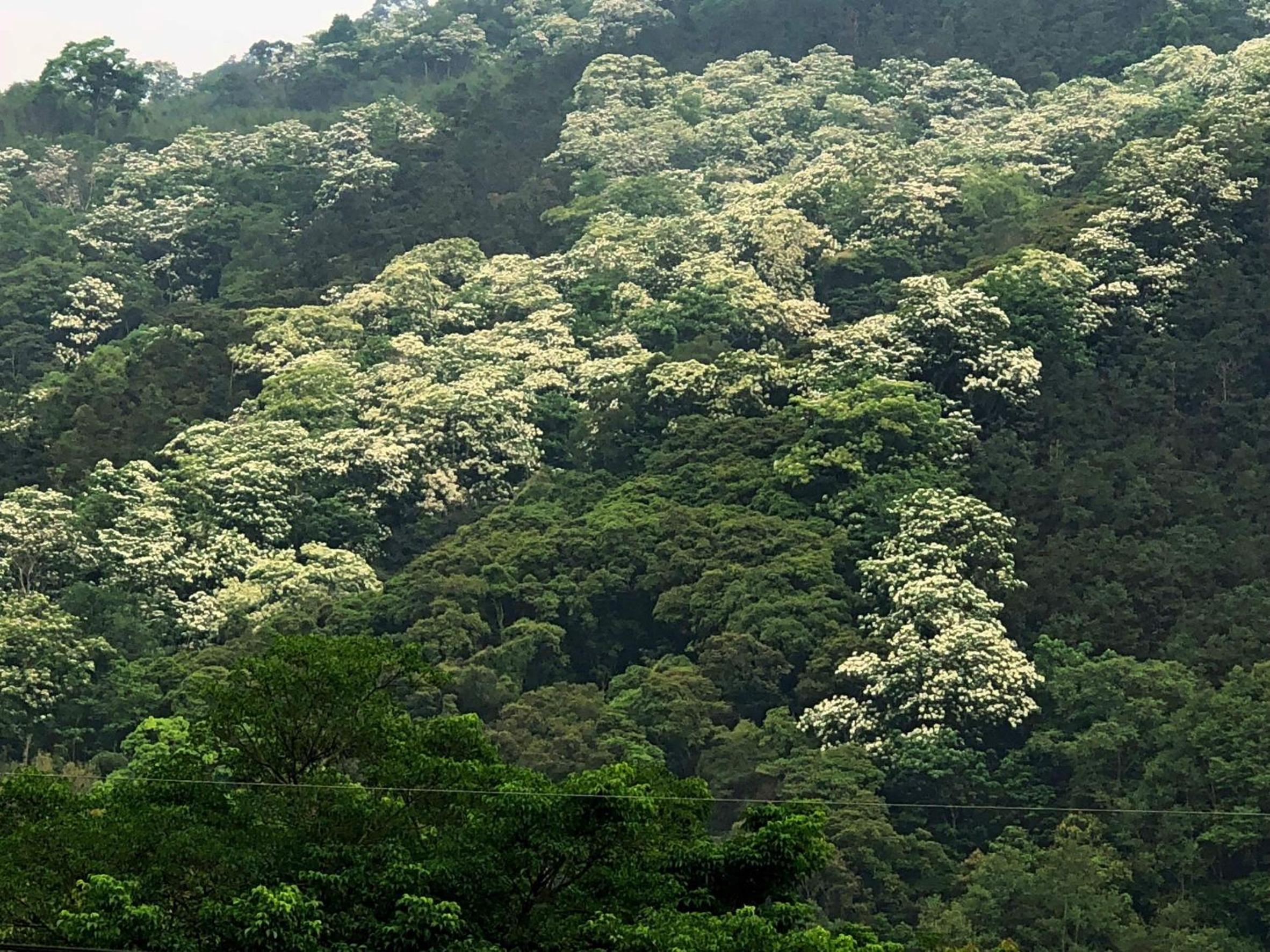 Chun Gu Farm view 2