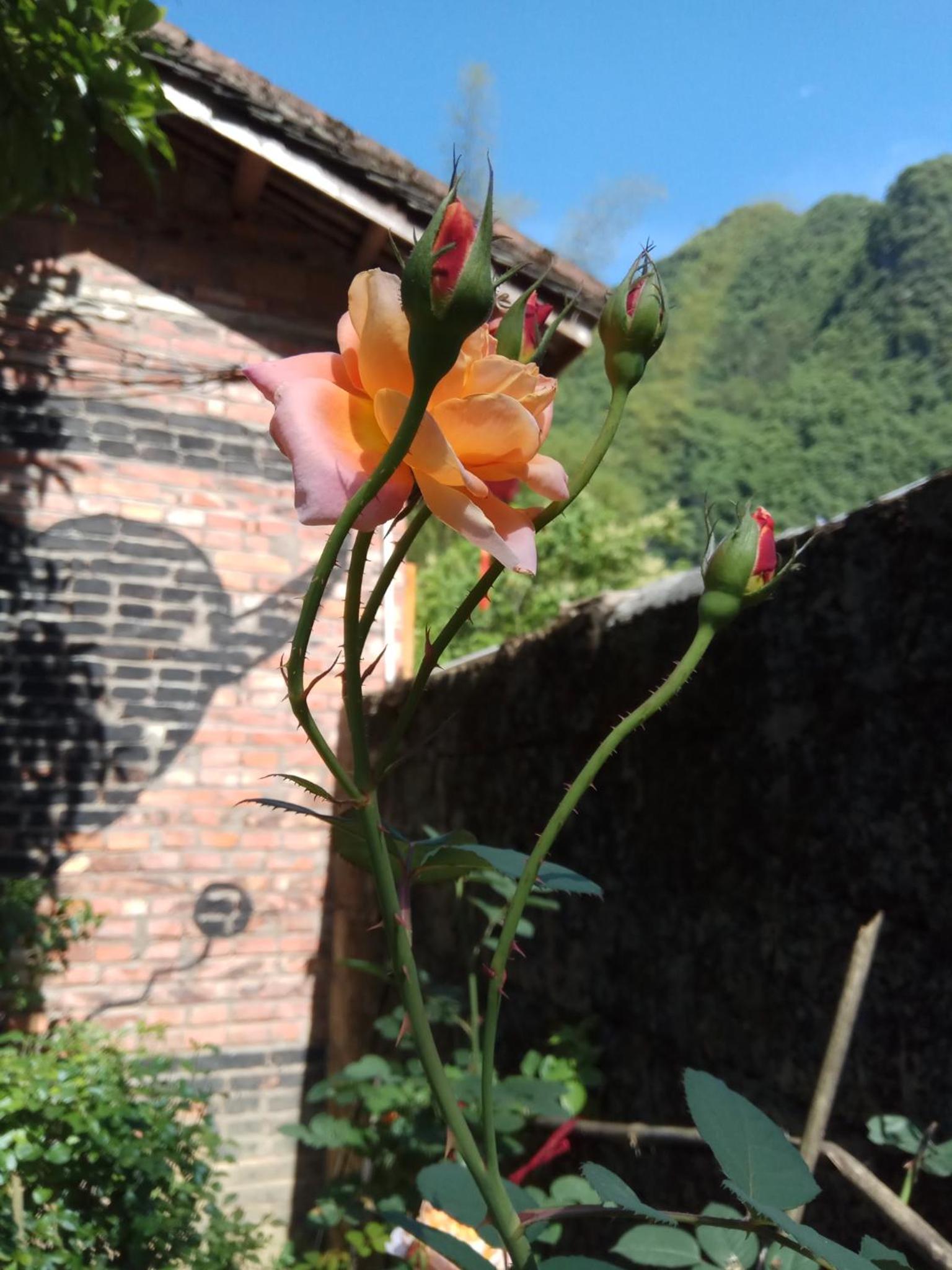 Xingping Our Inn