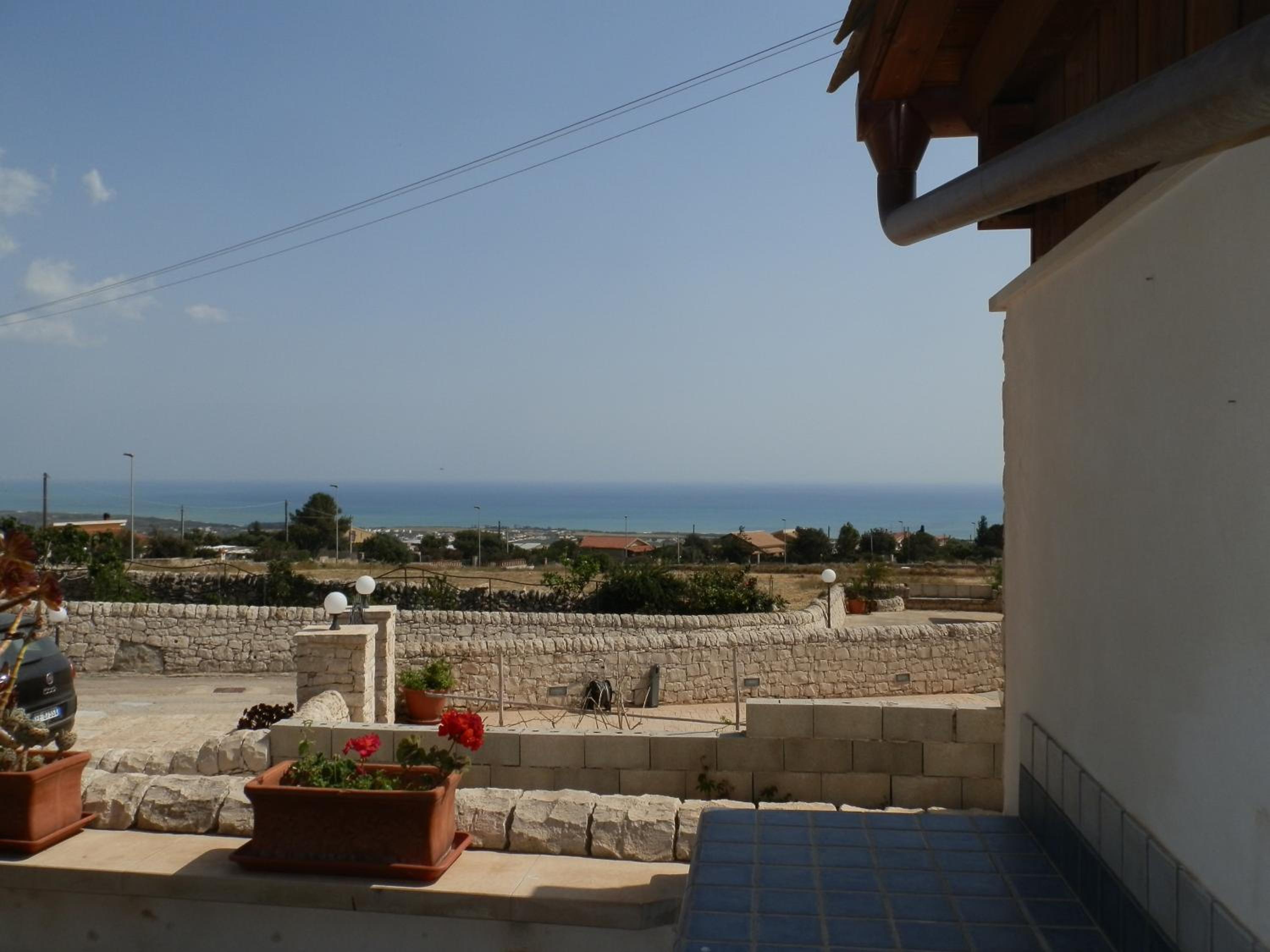 Coccinella view 3