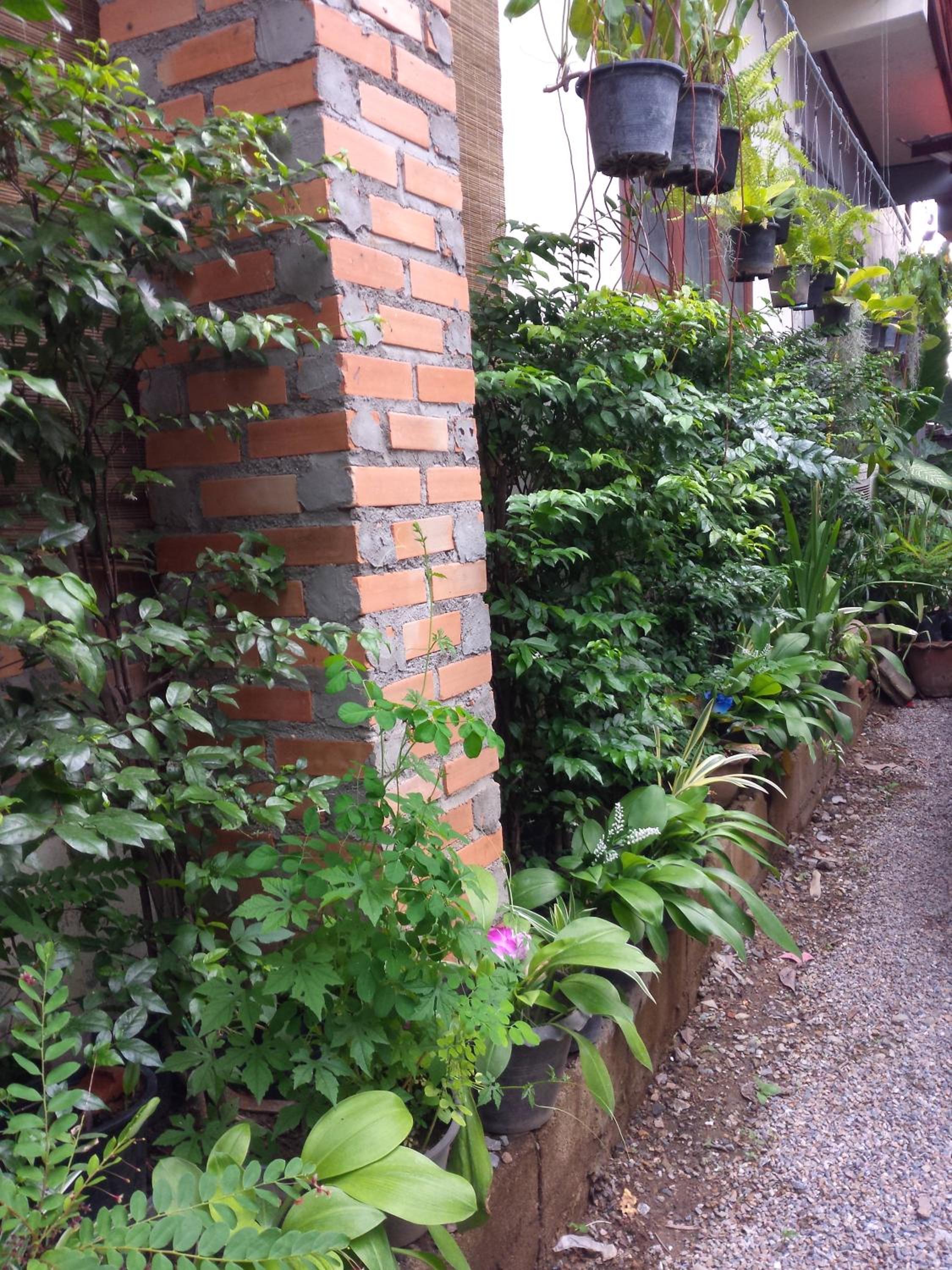 Photo 46