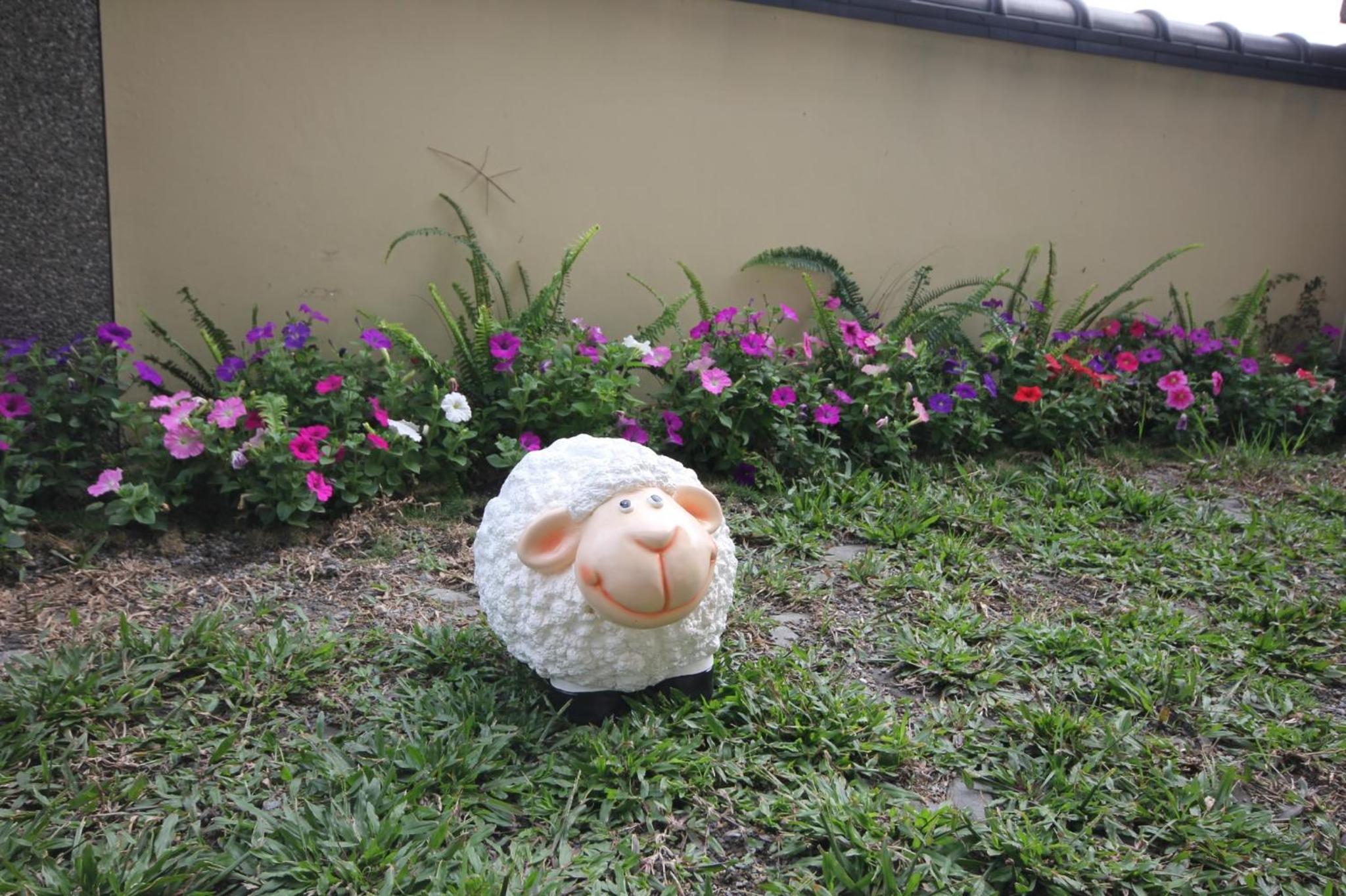 Photo 28