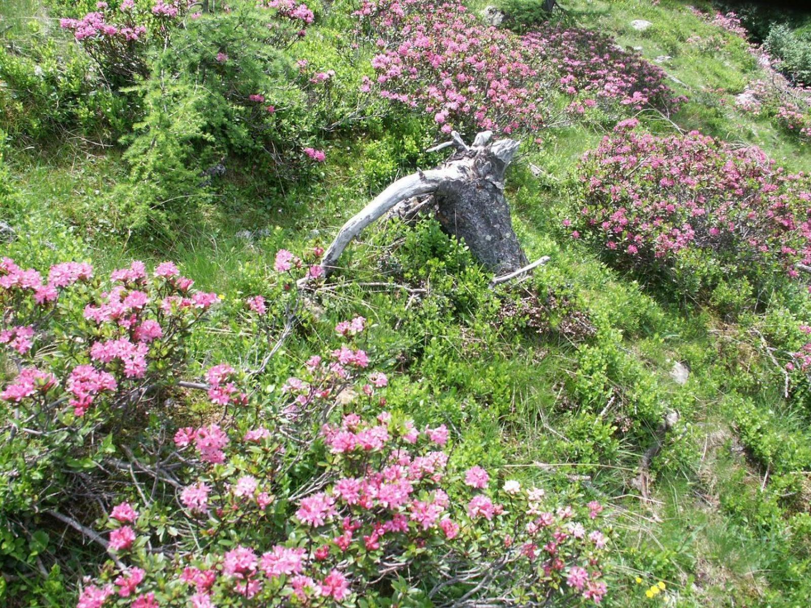 Photo 32