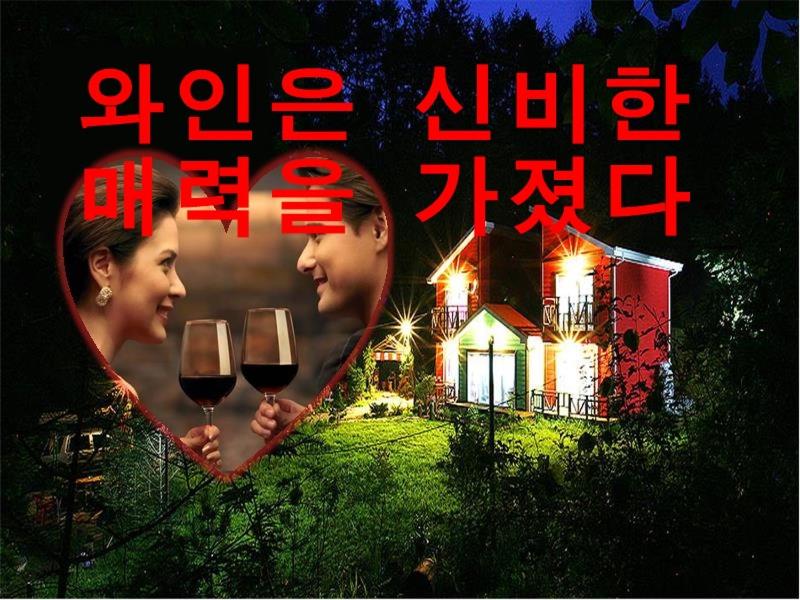 Heidi Korea