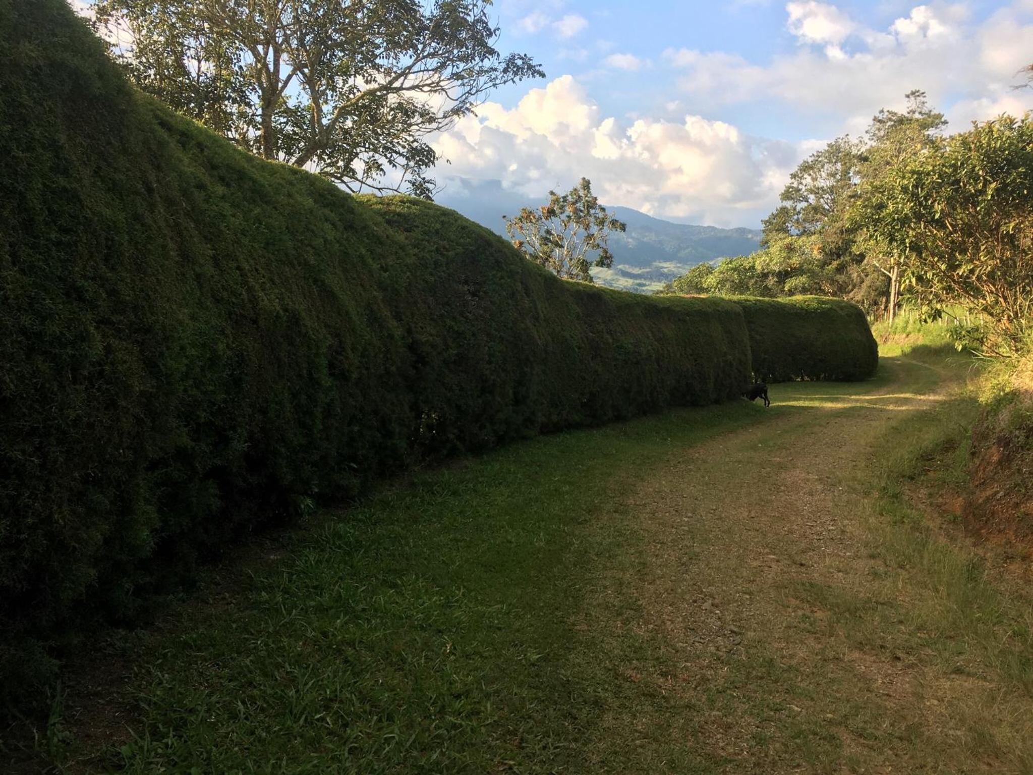 La cabaña del lago Calima
