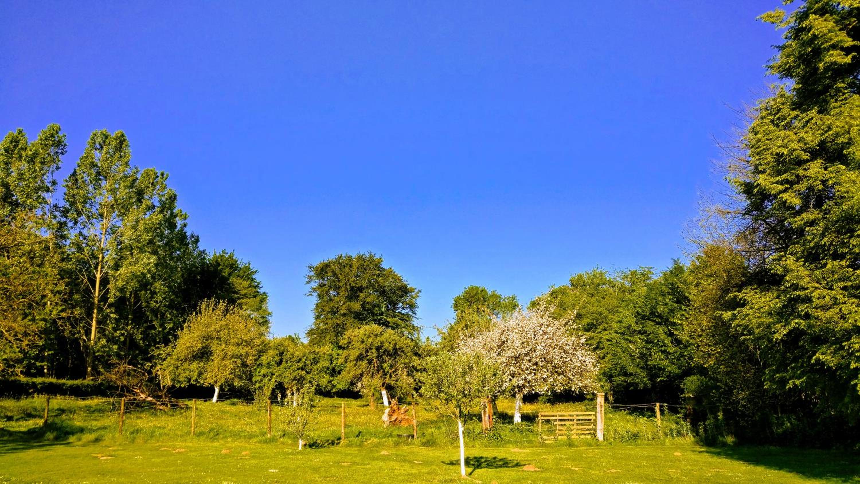 Photo 40