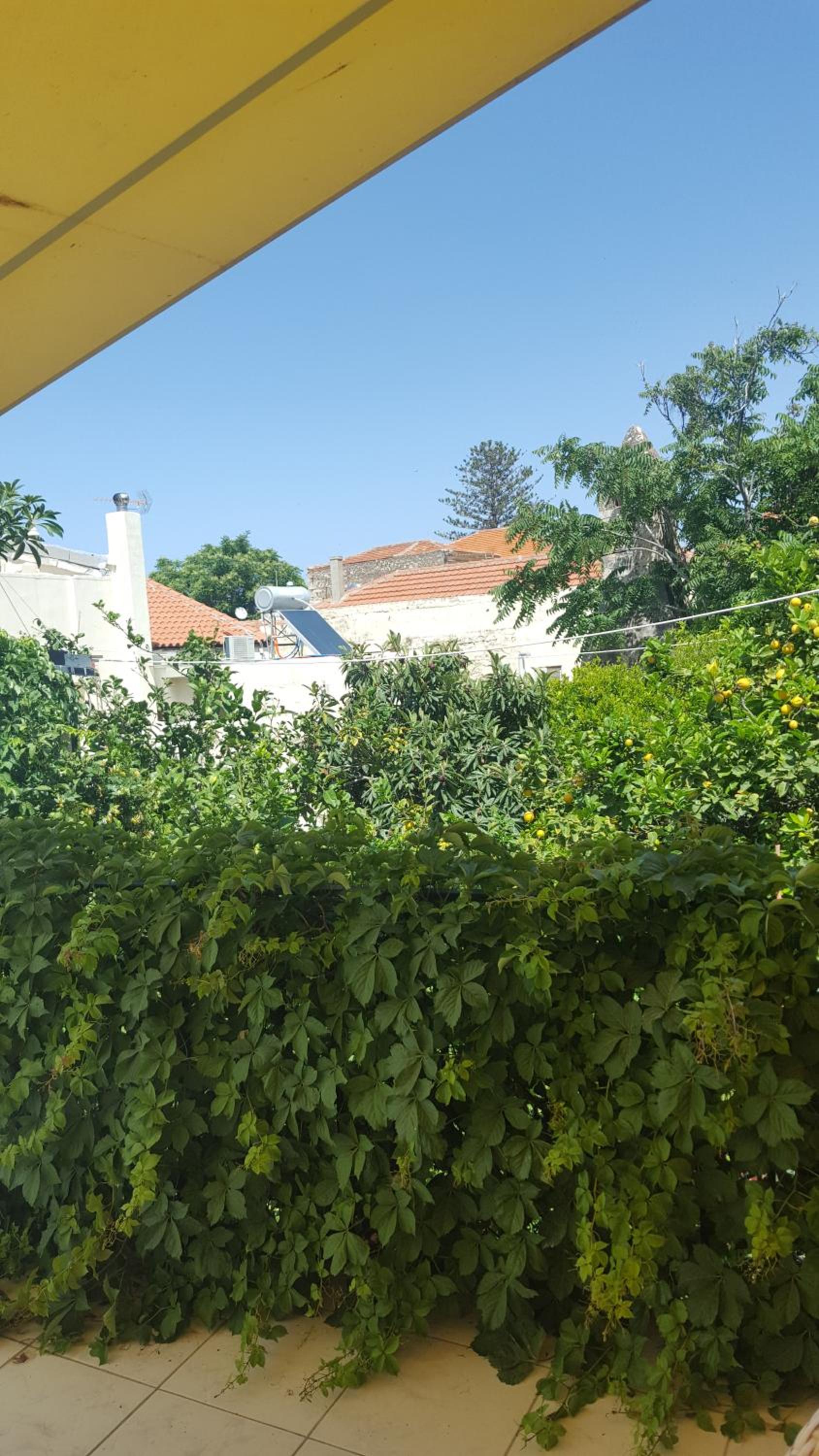 Studio Lefaki