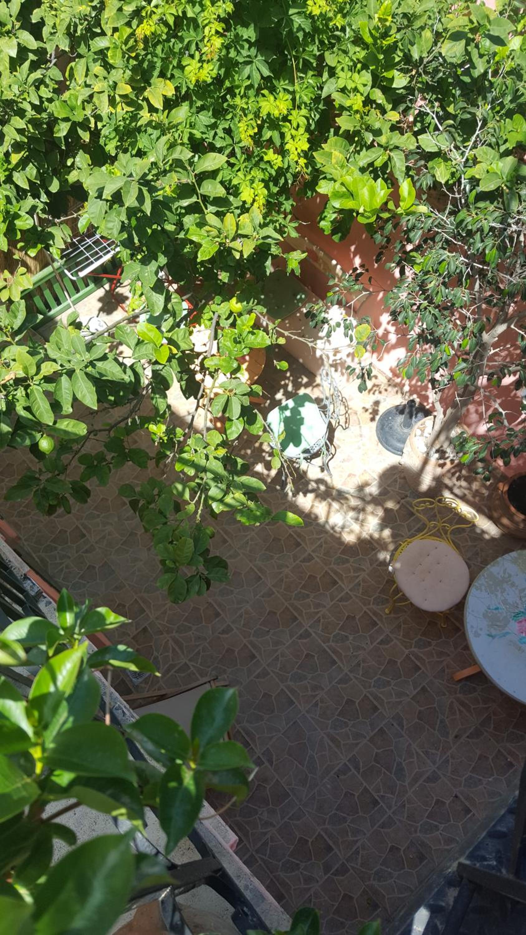 Studio Lefaki