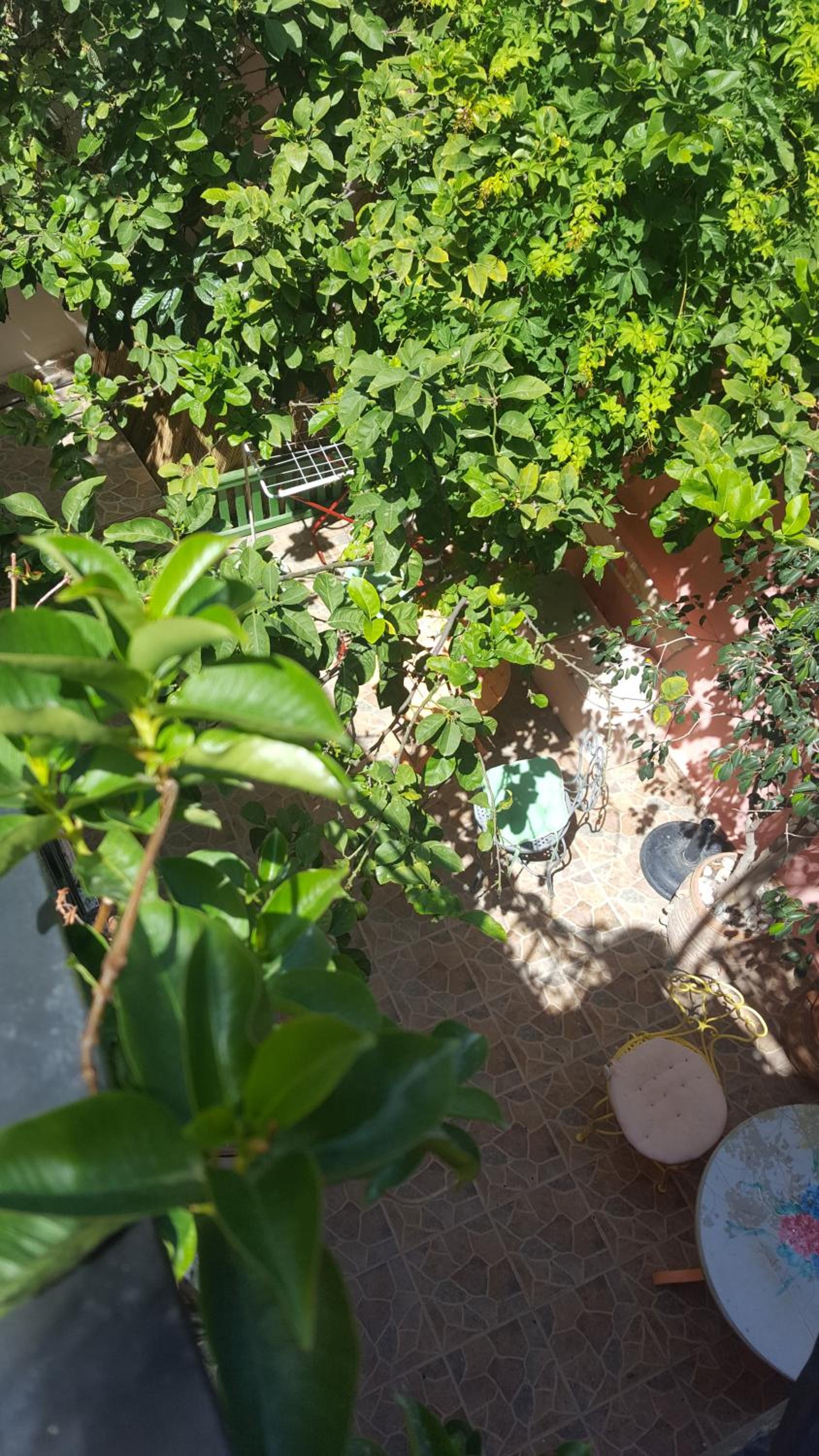 Studio Lefaki