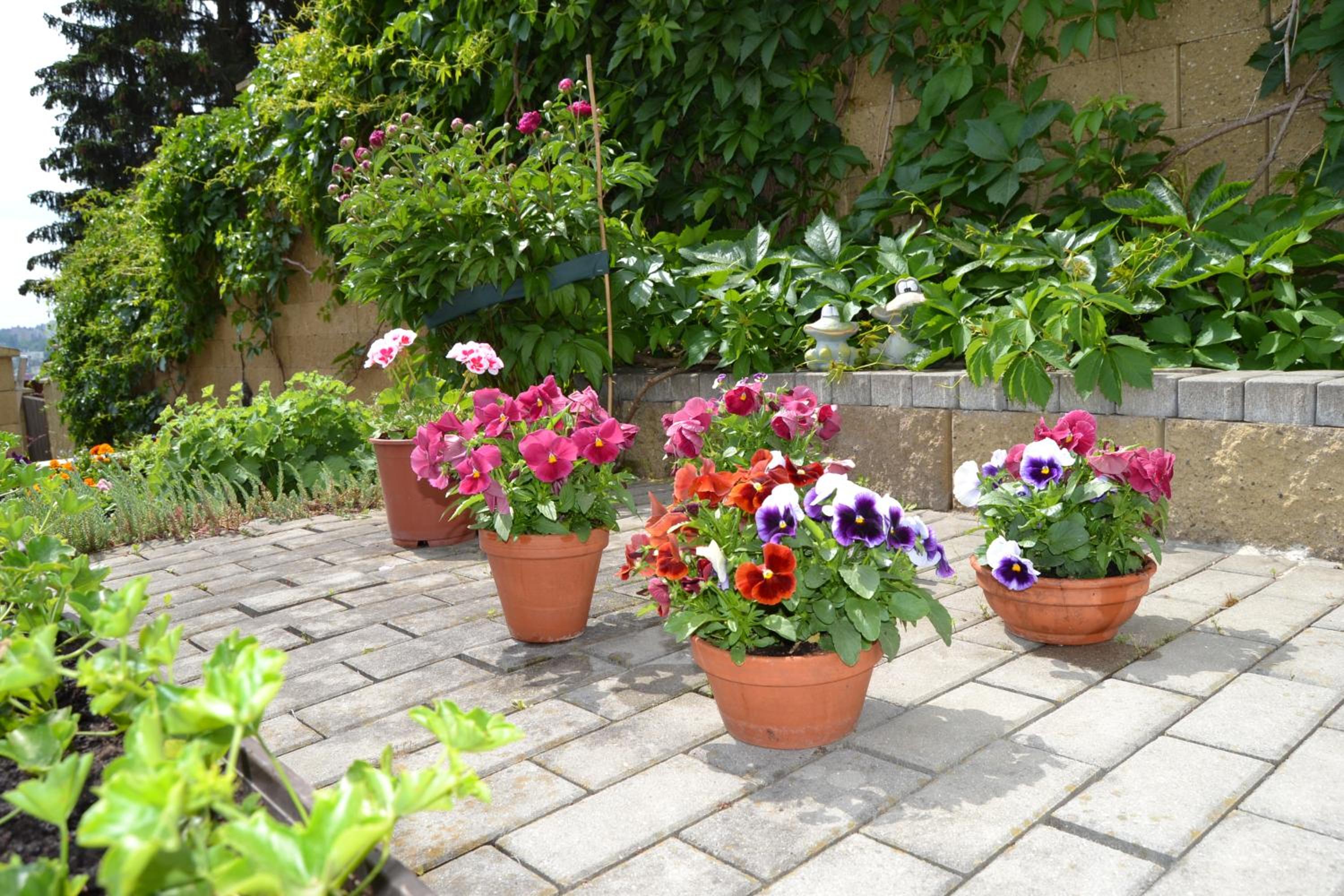 Pension Nika