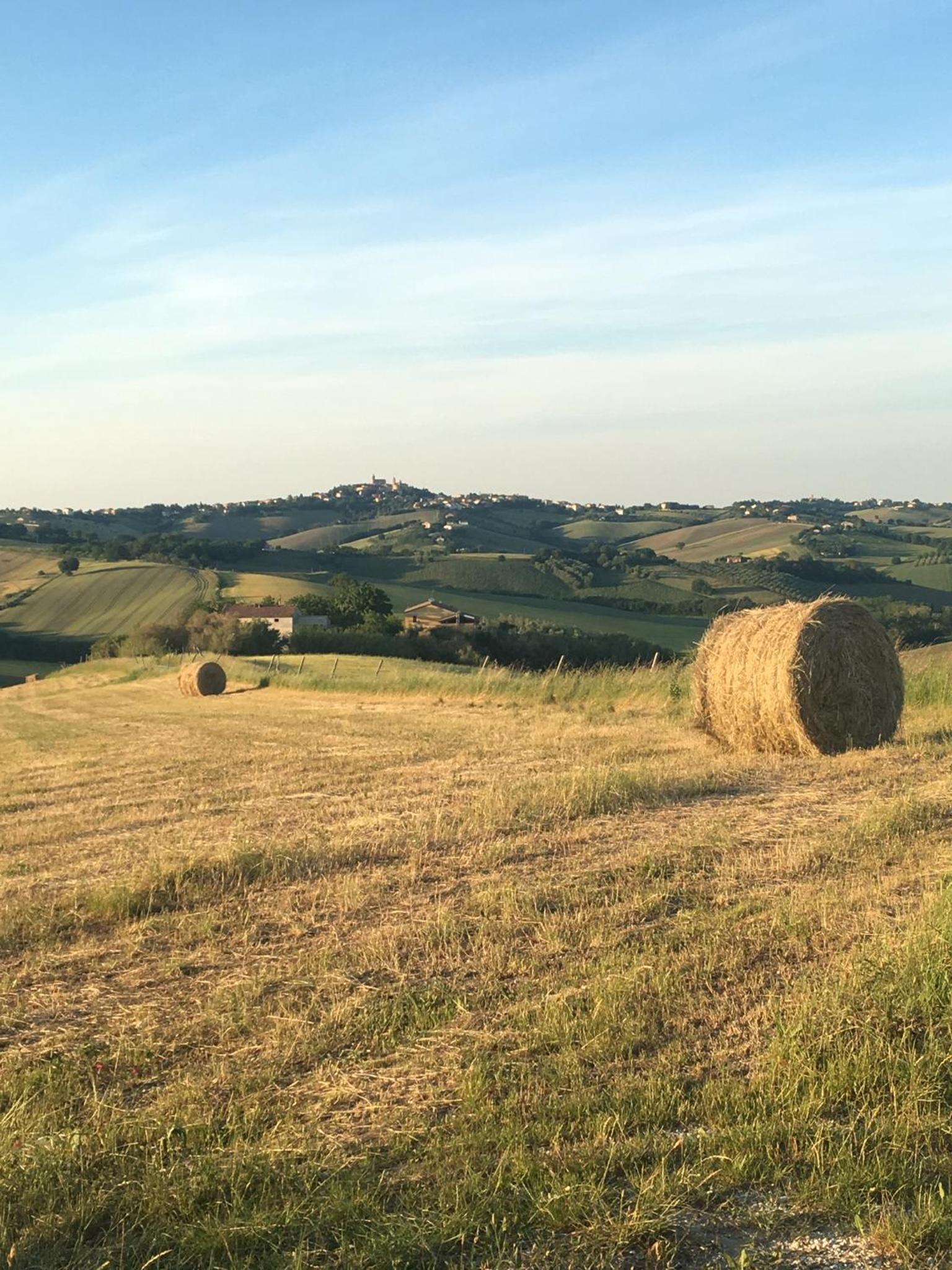 Agriturismo Tenuta Belvedere