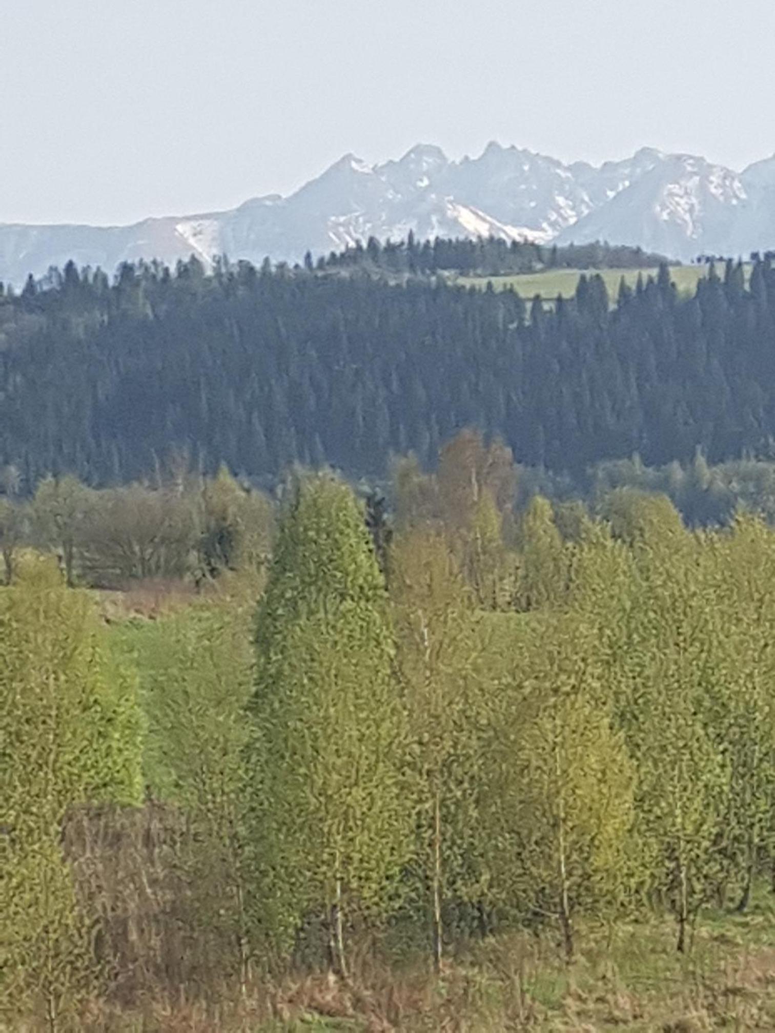 Gościniec Pieniński view 2