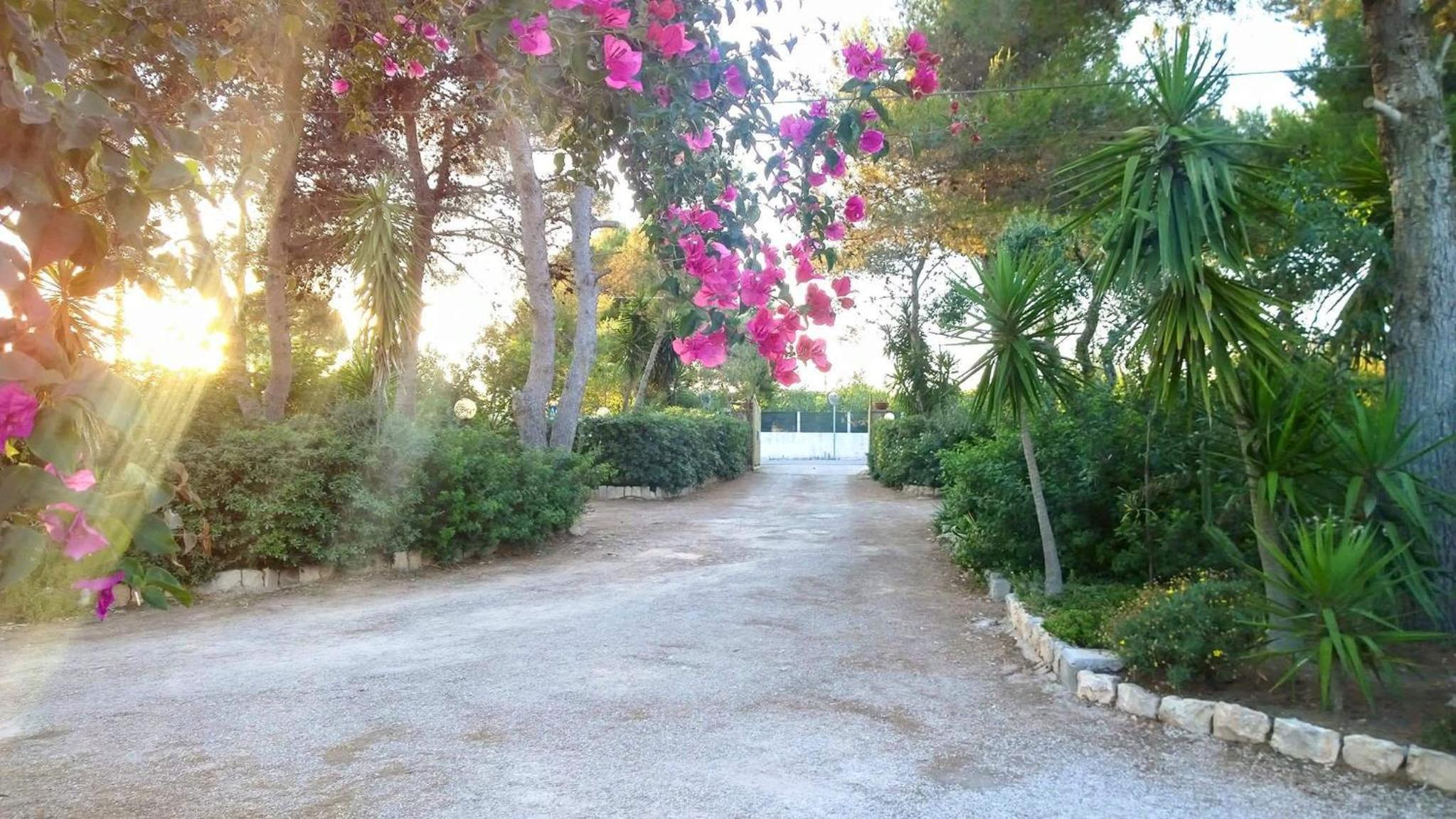 Agriturismo Palese