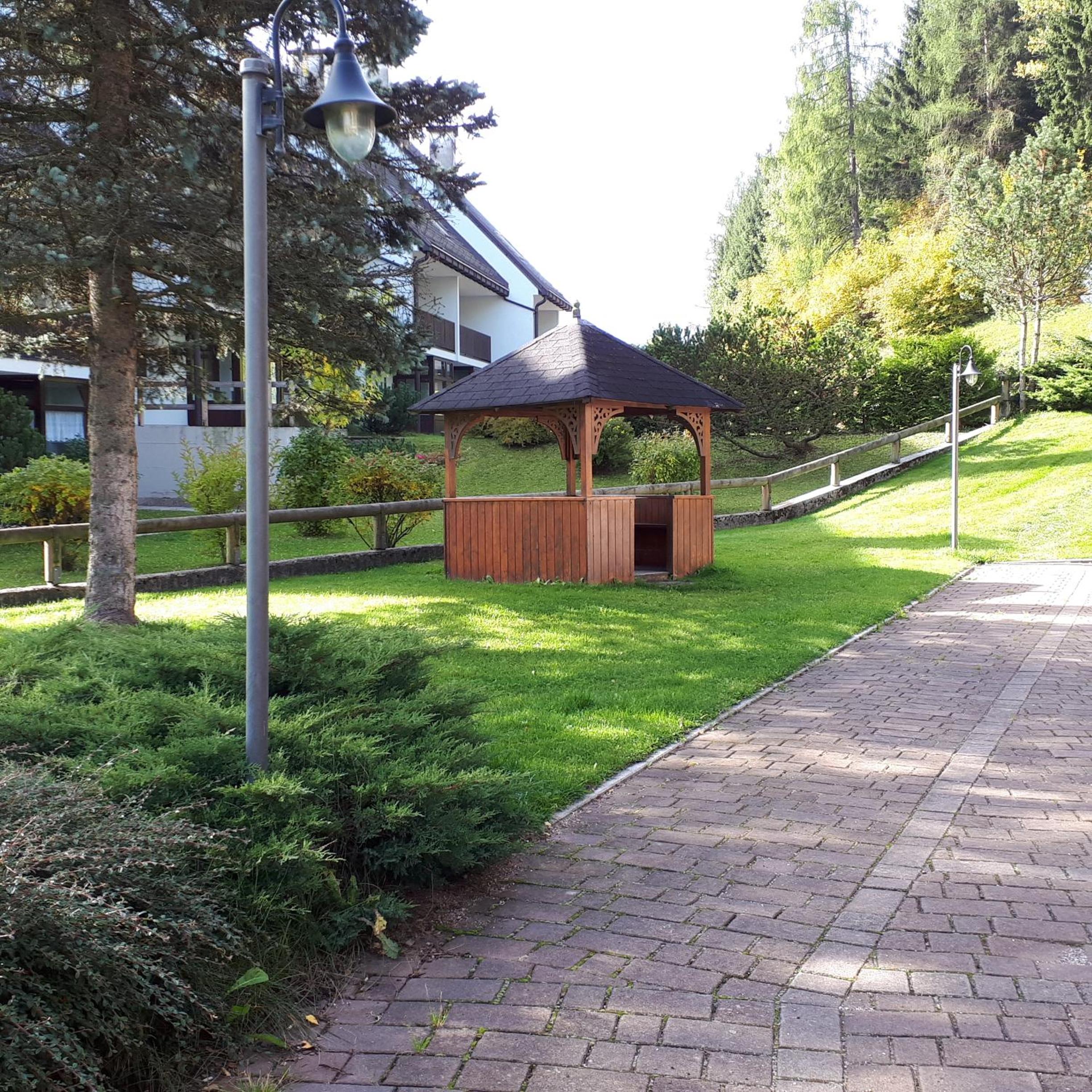 Photo 43
