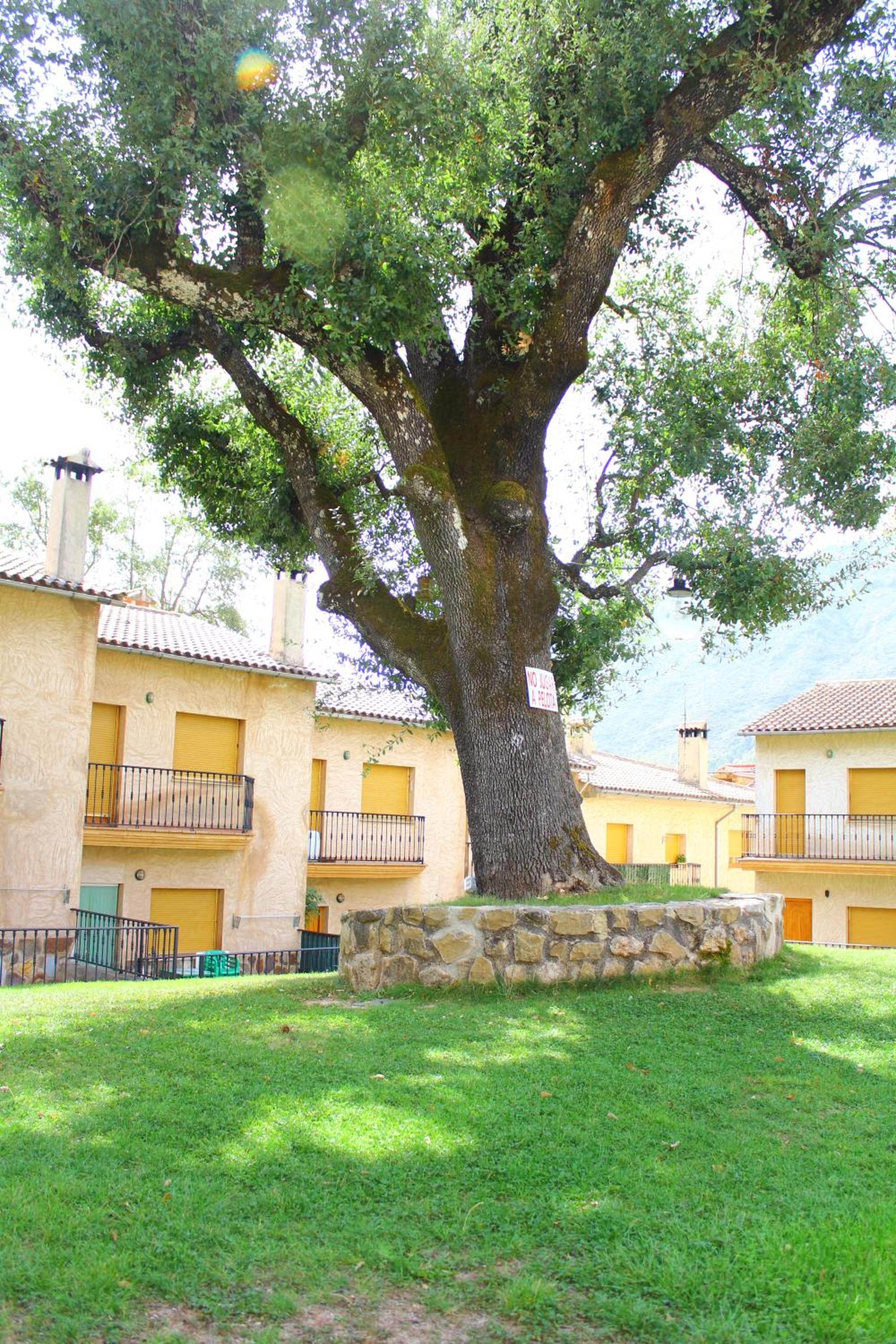 Casa Guillermo view 5