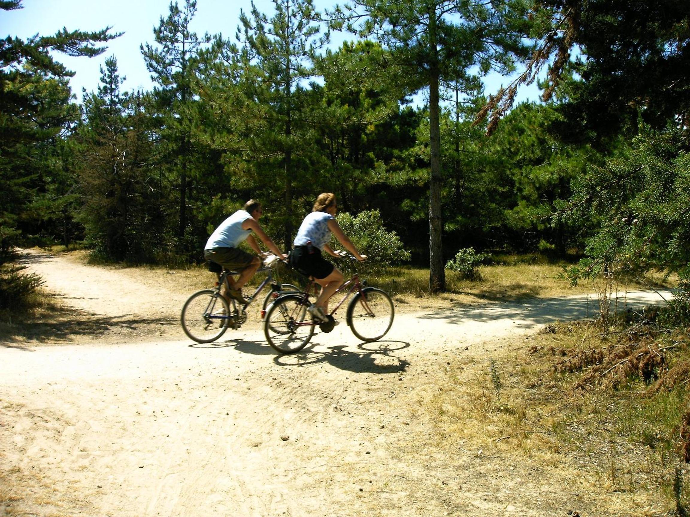 Camping La Forêt
