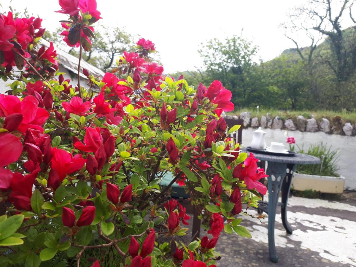 Photo 48