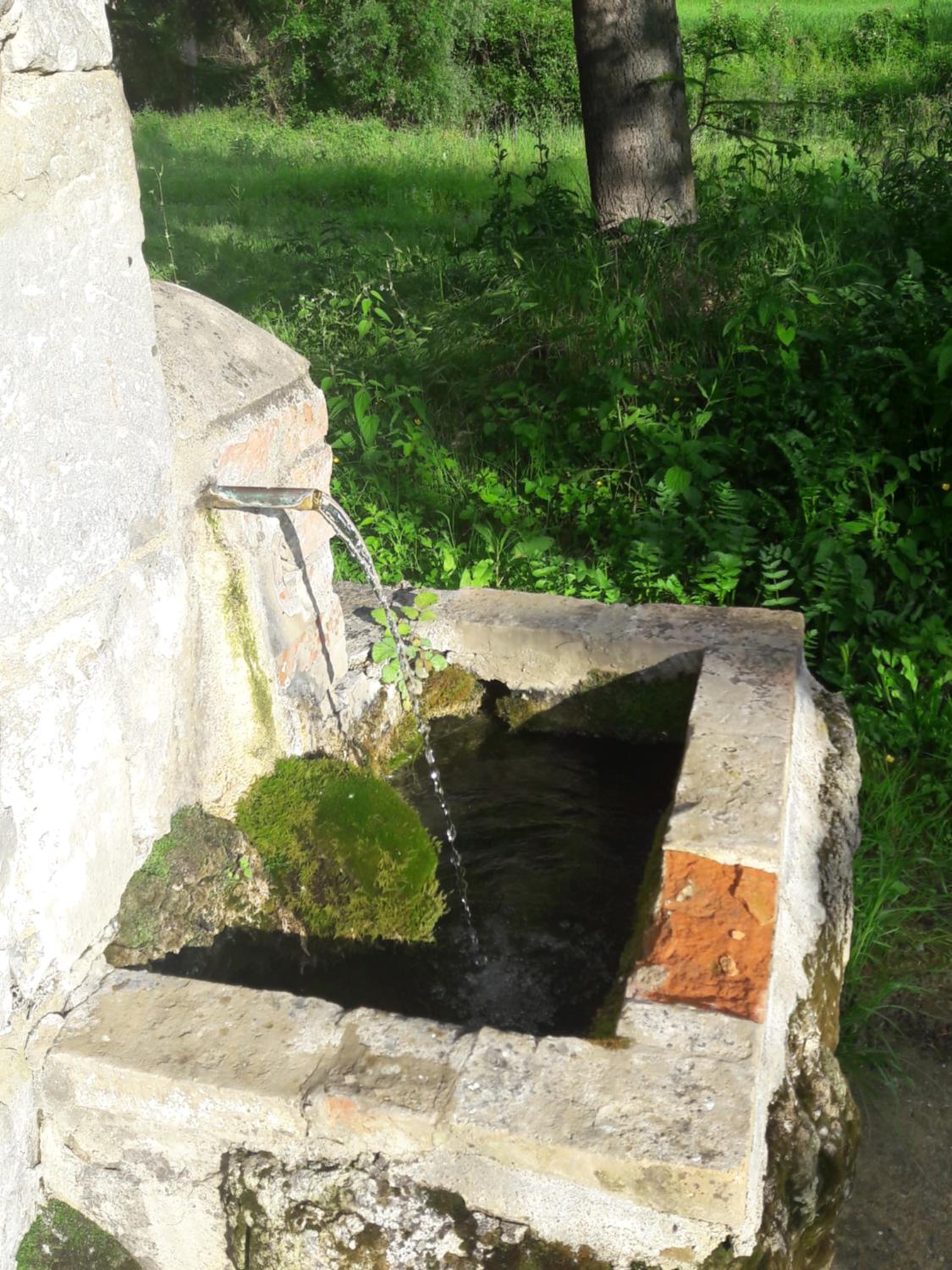 Photo 46
