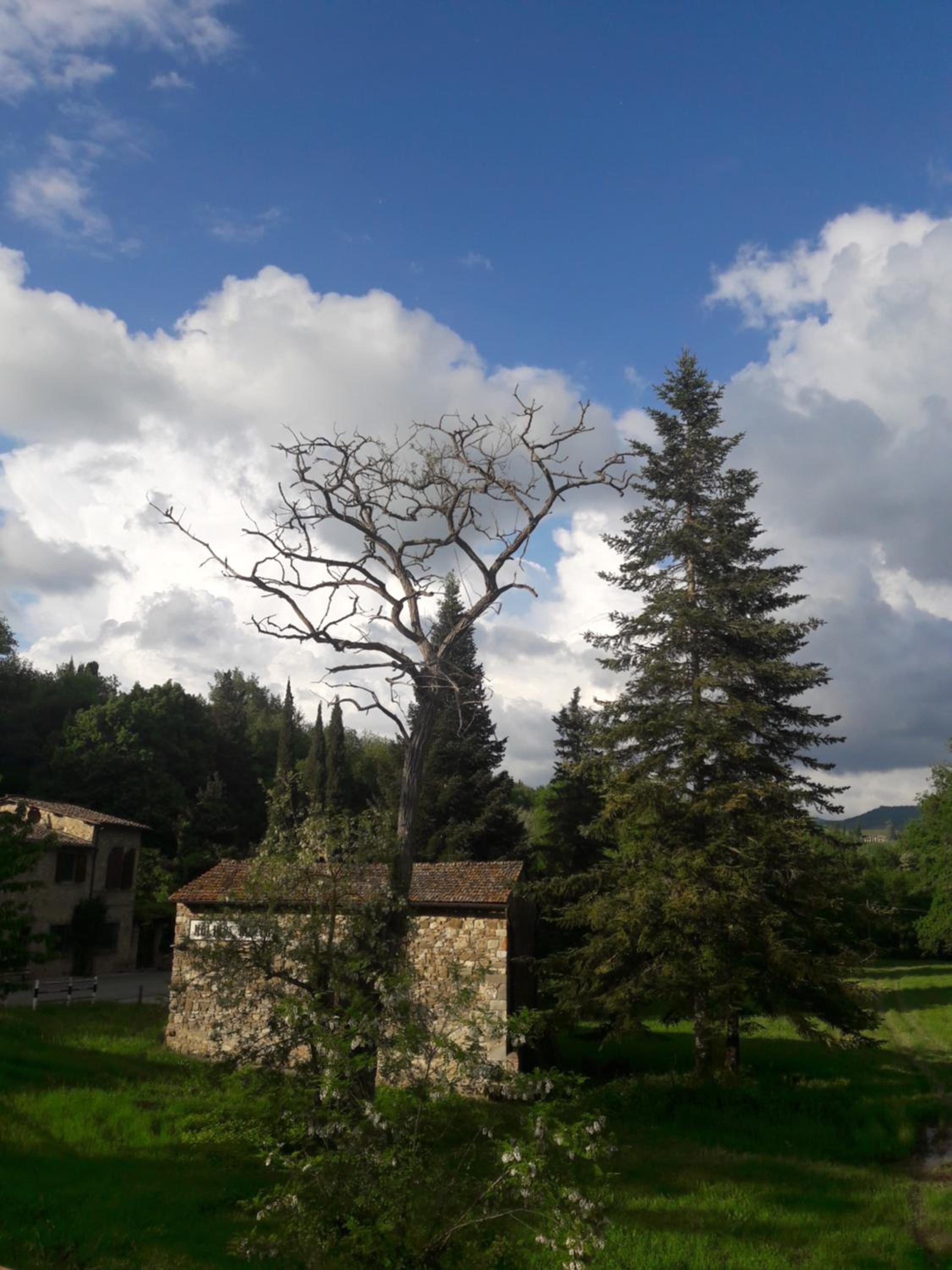 Photo 21