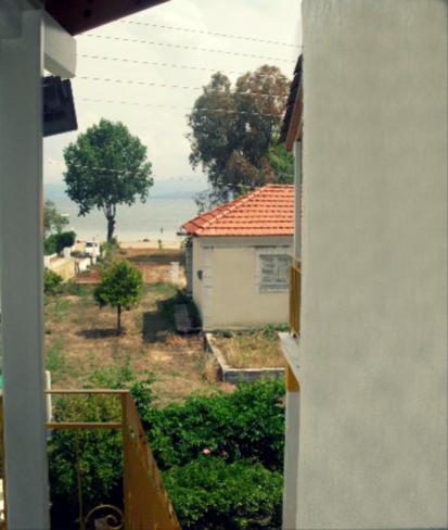 Photo 49