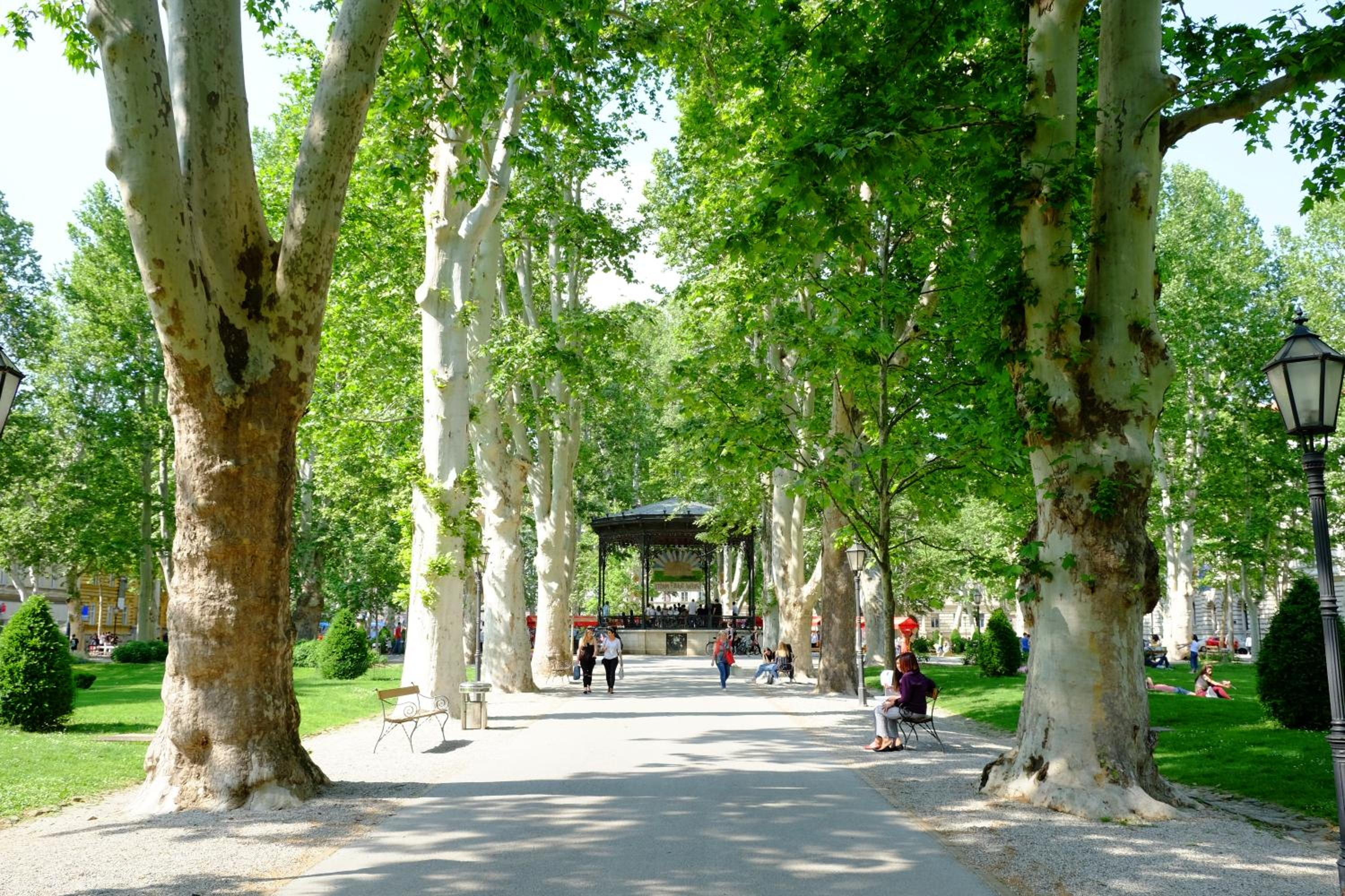 Photo 44